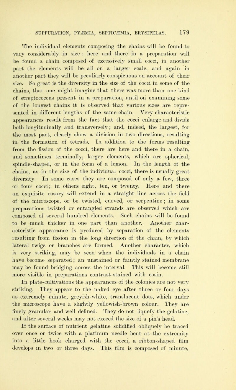 The individual elements composing the chains will be found to vary considerably in size : here and there in a preparation will be found a chain composed of excessively small cocci, in another part the elements will be all on a larger scale, and again in another part they will be peculiarly conspicuous on account of their size. So great is the diversity in the size of the cocci in some of the chains, that one might imagine that there was more than one kind of streptococcus present in a preparation, until on examining some of the longest chains it is observed that various sizes are repre- sented in different lengths of the same chain. Very characteristic appearances result from the fact that the cocci enlarge and divide both longitudinally and transversely ; and, indeed, the largest, for the most part, clearly show a division in two directions, resulting in the formation of tetrads. In addition to the forms resulting from the fission of the cocci, there are here and there in a chain, and sometimes terminally, larger elements, which are spherical, spindle-shaped, or in the form of a lemon. In the length of the chains, as in the size of the individual cocci, there is usually great diversity, In some cases they are composed of only a few, three or four cocci; in others eight, ten, or twenty. Here and there an exquisite rosary will extend in a straight line across the field of the microscope, or be twisted, curved, or serpentine ; in some preparations twisted or entangled strands are observed which are composed of several hundred elements. Such chains will be found to be much thicker in one part than another. Another char- acteristic appearance is produced by separation of the elements resulting from fission in the long direction of the chain, by which lateral twigs or branches are formed. Another character, which is very striking, may be seen when the individuals in a chain have become separated; an unstained or faintly stained membrane may be found bridging across the interval. This will become still more visible in preparations contrast-stained with eosin. In plate-cultivations the appearances of the colonies are not very striking. They appear to the naked eye after three or four days as extremely minute, greyish-white, translucent dots, which under the microscope have a slightly yellowish-brown colour. They are finely granular and well defined. They do not liquefy the gelatine, and after several weeks may not exceed the size of a pin's head. If the surface of nutrient gelatine solidified obliquely be traced over once or twice with a platinum needle bent at the extremity into a little hook charged with the cocci, a ribbon-shaped film develops in two or three days. This film is composed of minute,