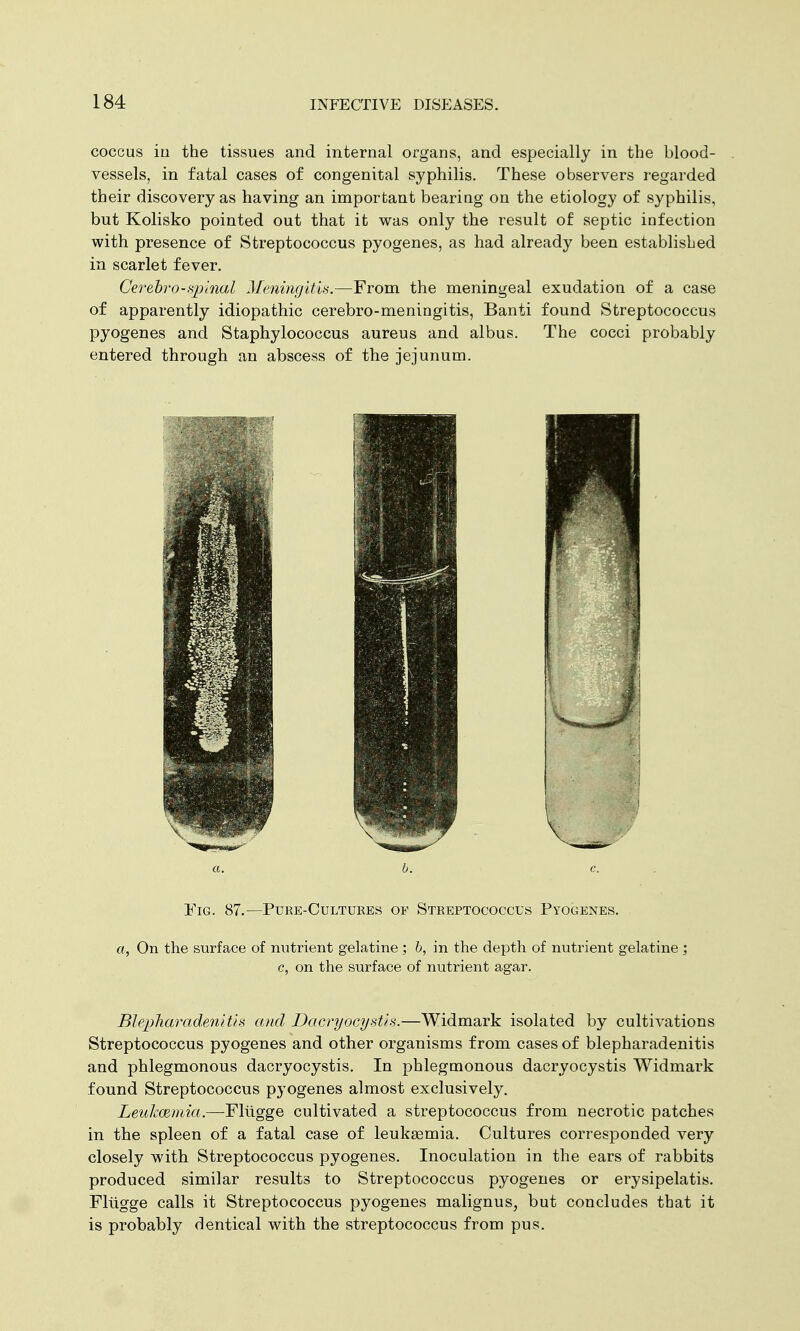 coccus in the tissues and internal organs, and especially in the blood- vessels, in fatal cases of congenital syphilis. These observers regarded their discovery as having an important bearing on the etiology of syphilis, but Kolisko pointed out that it was only the result of septic infection with presence of Streptococcus pyogenes, as had already been established in scarlet fever. Cerebrospinal Meningitis.—From the meningeal exudation of a case of apparently idiopathic cerebro-meningitis, Banti found Streptococcus pyogenes and Staphylococcus aureus and albus. The cocci probably entered through an abscess of the jejunum. BlepTiaradenitis and Dacryocystis.—Widmark isolated by cultivations Streptococcus pyogenes and other organisms from cases of blepharadenitis and phlegmonous dacryocystis. In phlegmonous dacryocystis Widmark found Streptococcus pyogenes almost exclusively. Leukaemia.—Fliigge cultivated a streptococcus from necrotic patches in the spleen of a fatal case of leukaemia. Cultures corresponded very closely with Streptococcus pyogenes. Inoculation in the ears of rabbits produced similar results to Streptococcus pyogenes or erysipelatis. Fliigge calls it Streptococcus pyogenes malignus, but concludes that it is probably dentical with the streptococcus from pus.