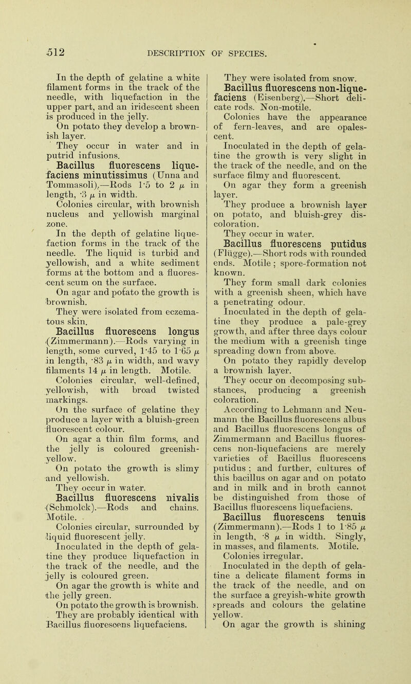 In the depth of gelatine a white filament forms in the track of the needle, with liquefaction in the upper part, and an iridescent sheen is produced in the jelly. On potato they develop a brown- ish layer. They occur in water and in putrid infusions. Bacillus fluorescens lique- faciens minutissimus (Unna and Tommasoli)..—Rods 1*5 to 2 /x in length, -3 /x in width. Colonies circular, with brownish nucleus and yellowish marginal zone. In the depth of gelatine lique- faction forms in the track of the needle. The liquid is turbid and yellowish, and a white sediment forms at the bottom and a fluores- cent scum on the surface. On agar and potato the growth is brownish. They were isolated from eczema- tous skin. Bacillus fluorescens longus (Zimmermann).—Rods varying in length, some curved, 1*45 to 165 \n in length, -83 p in width, and wavy filaments 14 \x, in length. Motile. Colonies circular, well-defined, yellowish, with broad twisted markings. On the surface of gelatine they produce a layer with a bluish-green fluorescent colour. On agar a thin film forms, and the jelly is coloured greenish- yellow. On potato the growth is slimy and yellowish. They occur in water. Bacillus fluorescens nivalis (Schmolck).—Rods and chains. Motile. - Colonies circular, surrounded by liquid fluorescent jelly. Inoculated in the depth of gela- tine they produce liquefaction in the track of the needle, and the jelly is coloured green. On agar the growth is white and the jelly green. On potato the growth is brownish. . They are probably identical with Bacillus fluorescens liquefaciens. They were isolated from snow. Bacillus fluorescens non-lique- faciens (Eisenberg).—Short deli- cate rods. Non-motile. Colonies have the appearance of fern-leaves, and are opales- cent. Inoculated in the depth of gela- tine the growth is very slight in the track of the needle, and on the surface filmy and fluorescent. On agar they form a greenish layer. They produce a brownish layer on potato, and bluish-grey dis- coloration. They occur in water. Bacillus fluorescens putidus (Flugge).—Short rods with rounded ends. Motile ; spore-formation not known. They form small dark colonies with a greenish sheen, which have a penetrating odour. Inoculated in the depth of gela- tine they produce a pale-grey growth, and after three days colour the medium with a greenish tinge spreading down from above. On potato they rapidly develop a brownish layer. They occur on decomposing sub- stances, producing a greenish coloration. According to Lehmann and Neu- mann the Bacillus fluorescens albus and Bacillus fluorescens longus of Zimmermann and Bacillus fluores- cens non-liquefaciens are merely varieties of Bacillus fluorescens putidus ; and further, cultures of this bacillus on agar and on potato and in milk and in broth cannot be distinguished from those of Bacillus fluorescens liquefaciens. Bacillus fluorescens tenuis (Zimmermann).—Rods 1 to T85 fx in length, -8 fi in width. Singly, in masses, and filaments. Motile. Colonies irregular. Inoculated in the depth of gela- tine a delicate filament forms in the track of the needle, and on the surface a greyish-white growth spreads and colours the gelatine yellow. On agar the growth is shining