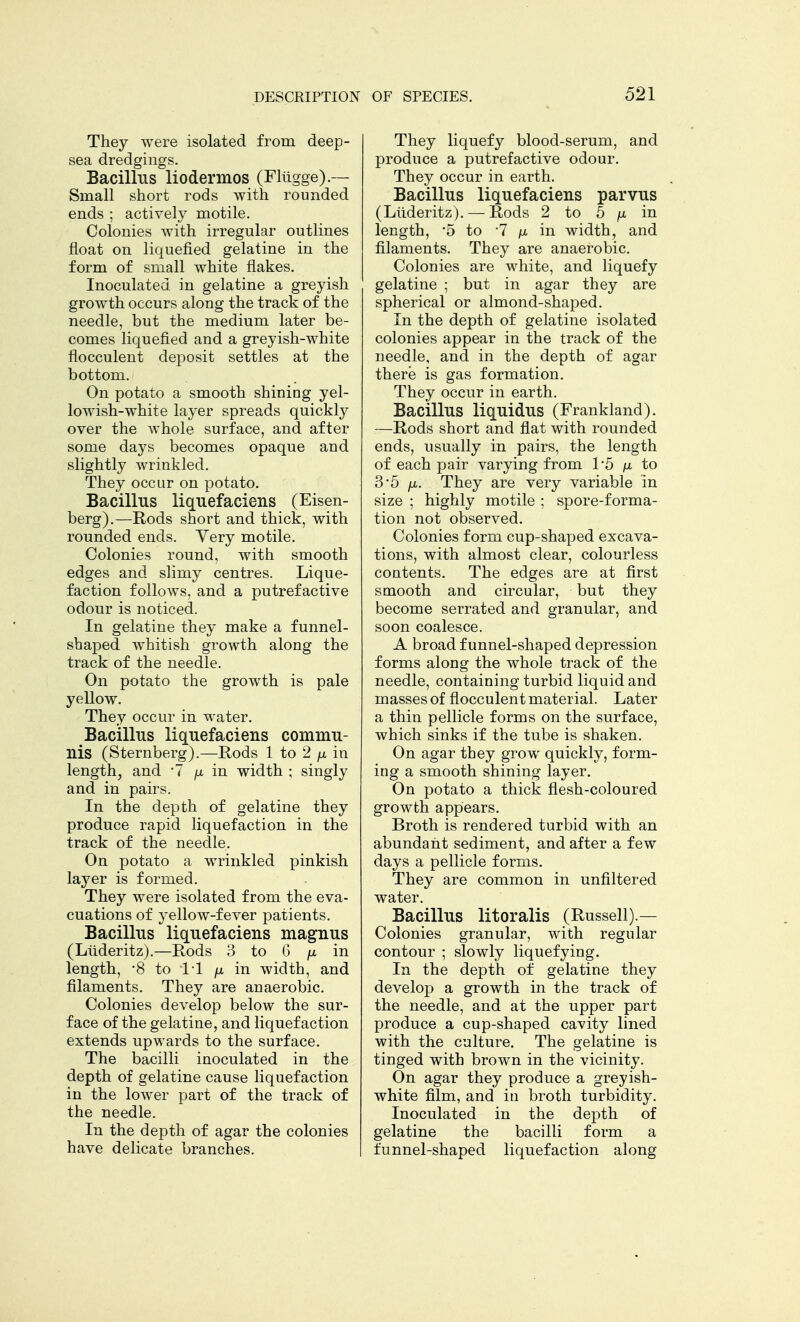 They were isolated from deep- sea dredgings. Bacillus liodermos (Fliigge).— Small short rods with rounded ends ; actively motile. Colonies with irregular outlines float on liquefied gelatine in the form of small white flakes. Inoculated in gelatine a greyish growth occurs along the track of the needle, but the medium later be- comes liquefied and a greyish-white flocculent deposit settles at the bottom. On potato a smooth shining yel- lowish-white layer spreads quickly over the whole surface, and after some days becomes opaque and slightly wrinkled. They occur on potato. Bacillus liquefaciens (Eisen- berg).—Rods short and thick, with rounded ends. Very motile. Colonies round, with smooth edges and slimy centres. Lique- faction follows, and a putrefactive odour is noticed. In gelatine they make a funnel- shaped whitish growth along the track of the needle. On potato the growth is pale yellow. They occur in water. Bacillus liquefaciens commu- nis (Sternberg).—Rods 1 to 2 ^ in length, and '7 ^ in width ; singly and in pairs. In the depth of gelatine they produce rapid liquefaction in the track of the needle. On potato a wrinkled pinkish layer is formed. They were isolated from the eva- cuations of yellow-fever patients. Bacillus liquefaciens magnus (Liideritz).—Rods 3 to 6 fi in length, -8 to 1*1 \x in width, and filaments. They are anaerobic. Colonies develop below the sur- face of the gelatine, and liquefaction extends upwards to the surface. The bacilli inoculated in the depth of gelatine cause liquefaction in the lower part of the track of the needle. In the depth of agar the colonies have delicate branches. They liquefy blood-serum, and produce a putrefactive odour. They occur in earth. Bacillus liquefaciens parvus (Liideritz). — Rods 2 to 5 fi in length, -5 to 7 fx in width, and filaments. They are anaerobic. Colonies are white, and liquefy gelatine ; but in agar they are spherical or almond-shaped. In the depth of gelatine isolated colonies appear in the track of the needle, and in the depth of agar there is gas formation. They occur in earth. Bacillus liquidus (Frankland). —Rods short and flat with rounded ends, usually in pairs, the length of each pair varying from 1*5 to 3'5 jx. They are very variable in size ; highly motile ; spore-forma- tion not observed. Colonies form cup-shaped excava- tions, with almost clear, colourless contents. The edges are at first smooth and circular, but they become serrated and granular, and soon coalesce. A broad funnel-shaped depression forms along the whole track of the needle, containing turbid liquid and masses of flocculent material. Later a thin pellicle forms on the surface, which sinks if the tube is shaken. On agar they grow quickly, form- ing a smooth shining layer. On potato a thick flesh-coloured growth appears. Broth is rendered turbid with an abundant sediment, and after a few days a pellicle forms. They are common in unfiltered water. Bacillus litoralis (Russell).— Colonies granular, with regular contour ; slowly liquefying. In the depth of gelatine they develop a growth in the track of the needle, and at the upper part produce a cup-shaped cavity lined with the culture. The gelatine is tinged with brown in the vicinity. On agar they produce a greyish- white film, and in broth turbidity. Inoculated in the depth of gelatine the bacilli form a funnel-shaped liquefaction along