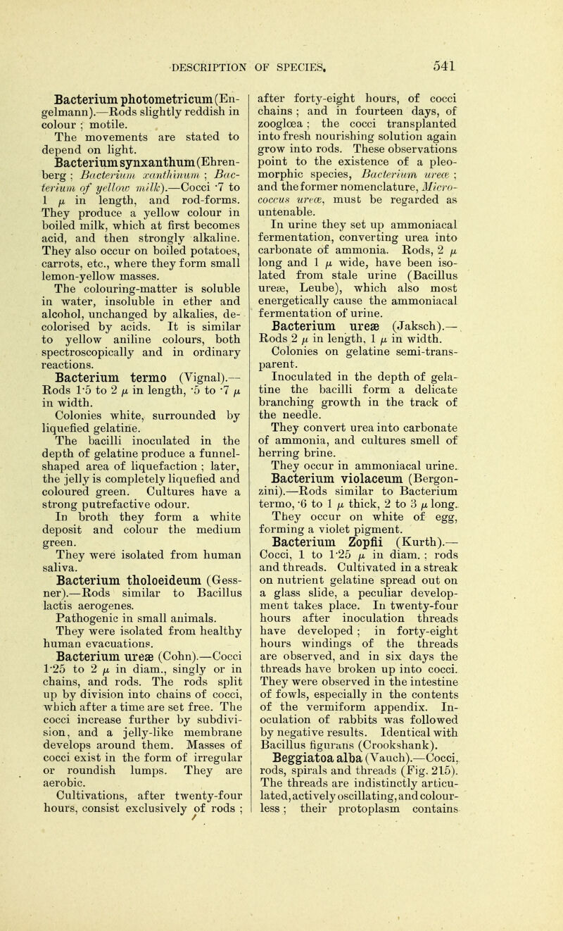 Bacterium photometricum (En- gelmann).—Rods slightly reddish in colour ; motile. The movements are stated to depend on light. Bacterium synxanthum (Ehren- berg ; Bacterium xanthinum ; Bac- terium of yellow milk).—Cocci *7 to 1 fx in length, and rod-forms. They produce a yellow colour in boiled milk, which at first becomes acid, and then strongly alkaline. They also occur on boiled potatoes, carrots, etc., where they form small lemon-yellow masses. The colouring-matter is soluble in water, insoluble in ether and alcohol, unchanged by alkalies, de- colorised by acids. It is similar to yellow aniline colours, both spectroscopically and in ordinary reactions. Bacterium termo (Vignal).— Rods 1*5 to 2 jx in length, -5 to 7 /x in width. Colonies white, surrounded by liquefied gelatine. The bacilli inoculated in the depth of gelatine produce a funnel- shaped area of liquefaction ; later, the jelly is completely liquefied and coloured green. Cultures have a strong putrefactive odour. In broth they form a white deposit and colour the medium green. They were isolated from human saliva. Bacterium tholoeideum (Gess- ner).—Rods similar to Bacillus lactis aerogenes. Pathogenic in small animals. They were isolated from healthy human evacuations. Bacterium ureae (Cohn).—Cocci 1*25 to 2 jx in diam., singly or in chains, and rods. The rods split up by division into chains of cocci, which after a time are set free. The cocci increase further by subdivi- sion, and a jelly-like membrane develops around them. Masses of cocci exist in the form of irregular or roundish lumps. They are aerobic. Cultivations, after twenty-four hours, consist exclusively of rods ; after forty-eight hours, of cocci chains ; and in fourteen days, of zooglcea ; the cocci transplanted into fresh nourishing solution again grow into rods. These observations point to the existence of a pleo- morphic species, Bacterium ureal ; and the former nomenclature, Micro- coccus utece, must be regarded as untenable. In urine they set up ammoniacal fermentation, converting urea into carbonate of ammonia. Rods, 2 fi long and 1 fx wide, have been iso- lated from stale urine (Bacillus urese, Leube), which also most energetically cause the ammoniacal fermentation of urine. Bacterium ureae (Jaksch).— Rods 2 ]i in length, 1 p in width. Colonies on gelatine semi-trans- parent. Inoculated in the depth of gela- tine the bacilli form a delicate branching growth in the track of the needle. They convert urea into carbonate of ammonia, and cultures smell of herring brine. They occur in ammoniacal urine. Bacterium violaceum (Bergon- zini).—Rods similar to Bacterium termo, *6 to 1 fx thick, 2 to 3 \x long. They occur on white of egg, forming a violet pigment. Bacterium Zopfii (Kurth).— Cocci, 1 to 1*25 fx in diam. ; rods and threads. Cultivated in a streak on nutrient gelatine spread out on a glass slide, a peculiar develop- ment takes place. In twenty-four hours after inoculation threads have developed ; in forty-eight hours windings of the threads are observed, and in six days the threads have broken up into cocci. They were observed in the intestine of fowls, especially in the contents of the vermiform appendix. In- oculation of rabbits was followed by negative results. Identical with Bacillus figuraris (Crookshank). Beggiatoa alba (Vauch).—Cocci, rods, spirals and threads (Fig. 215). The threads are indistinctly articu- lated, actively oscillating, and colour- less ; their protoplasm contains