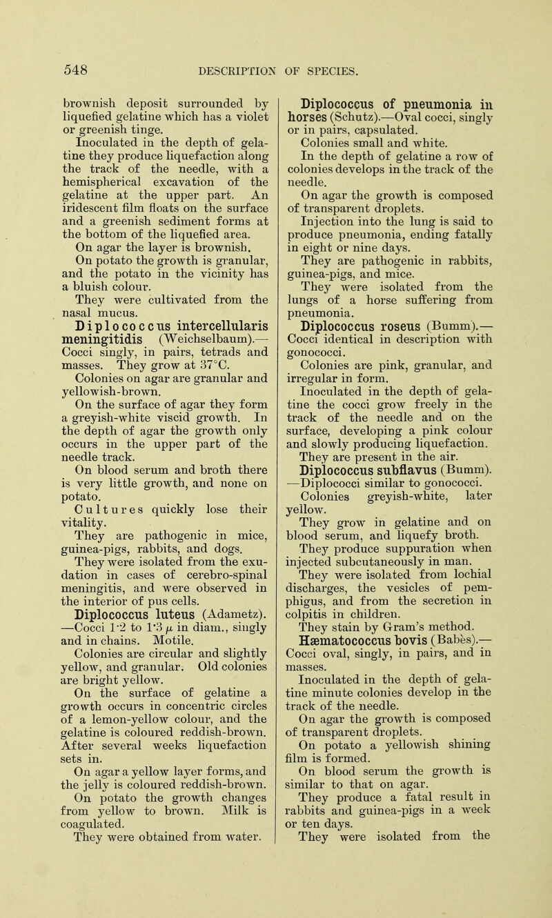 brownish deposit surrounded by liquefied gelatine which has a violet or greenish tinge. Inoculated in the depth of gela- tine they produce liquefaction along the track of the needle, with a hemispherical excavation of the gelatine at the upper part. An iridescent film floats on the surface and a greenish sediment forms at the bottom of the liquefied area. On agar the layer is brownish. On potato the growth is granular, and the potato in the vicinity has a bluish colour. They were cultivated from the nasal mucus. Diplococcus intercellularis meningitidis (Weichselbaum).— Cocci singly, in pairs, tetrads and masses. They grow at 37°C. Colonies on agar are granular and yellowish-brown. On the surface of agar they form a greyish-white viscid growth. In the depth of agar the growth only occurs in the upper part of the needle track. On blood serum and broth there is very little growth, and none on potato. Cultures quickly lose their vitality. They are pathogenic in mice, guinea-pigs, rabbits, and dogs. They were isolated from the exu- dation in cases of cerebro-spinal meningitis, and were observed in the interior of pus cells. Diplococcus luteus (Adametz). —Cocci 1*2 to 1*3 fx, in diam., singly and in chains. Motile. Colonies are circular and slightly yellow, and granular. Old colonies are bright yellow. On the surface of gelatine a growth occurs in concentric circles of a lemon-yellow colour, and the gelatine is coloured reddish-brown. After several weeks liquefaction sets in. On agar a yellow layer forms, and the jelly is coloured reddish-brown. On potato the growth changes from yellow to brown. Milk is coagulated. They were obtained from water. Diplococcus of pneumonia in horses (Schutz).—Oval cocci, singly or in pairs, capsulated. Colonies small and white. In the depth of gelatine a row of colonies develops in the track of the needle. On agar the growth is composed of transparent droplets. Injection into the lung is said to produce pneumonia, ending fatally in eight or nine days. They are pathogenic in rabbits, guinea-pigs, and mice. They were isolated from the lungs of a horse suffering from pneumonia. Diplococcus roseus (Bumm).— Cocci identical in description with gonococci. Colonies are pink, granular, and irregular in form. Inoculated in the depth of gela- tine the cocci grow freely in the track of the needle and on the surface, developing a pink colour and slowly producing liquefaction. They are present in the air. Diplococcus subflavus (Bumm). —Diplococci similar to gonococci. Colonies greyish-white, later yellow. They grow in gelatine and on blood serum, and liquefy broth. They produce suppuration when injected subcutaneously in man. They were isolated from lochial discharges, the vesicles of pem- phigus, and from the secretion in colpitis in children. They stain by Oram's method. Hsematococcus bovis (Babes).— Cocci oval, singly, in pairs, and in masses. Inoculated in the depth of gela- tine minute colonies develop in the track of the needle. On agar the growth is composed of transparent droplets. On potato a yellowish shining film is formed. On blood serum the growth is similar to that on agar. They produce a fatal result in rabbits and guinea-pigs in a week or ten days. They were isolated from the