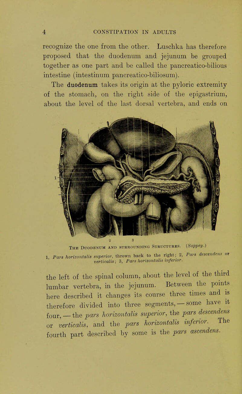 recognize the one from the other. Luschka has therefore proposed that the duodenum and jejunum be grouped together as one part and be called the pancreatico-bilious intestine (intestinum pancreatico-biliosum). The duodenum takes its origin at the pyloric extremity of the stomach, on the right side of the epigastrium, about the level of the last dorsal vertebra, and ends on ■2 3 The Duodenum and surrounding Structures. {Sappey.) 1 Para horizontalis superior, thrown back to the right; 2, Pars desce7i<lens or verticalis; 3, Pars horizontalis ivferior. the left of the spinal column, about the level of the third lumbar vertebra, in the jejunum. Between the points here described it changes its course three times and is therefore divided into three segments, — some have it four, —the pars horizontalis superior, the pars descendens or verticalis, and the pars horizontalis inferior. The fourth part described by some is the pars ascendens.