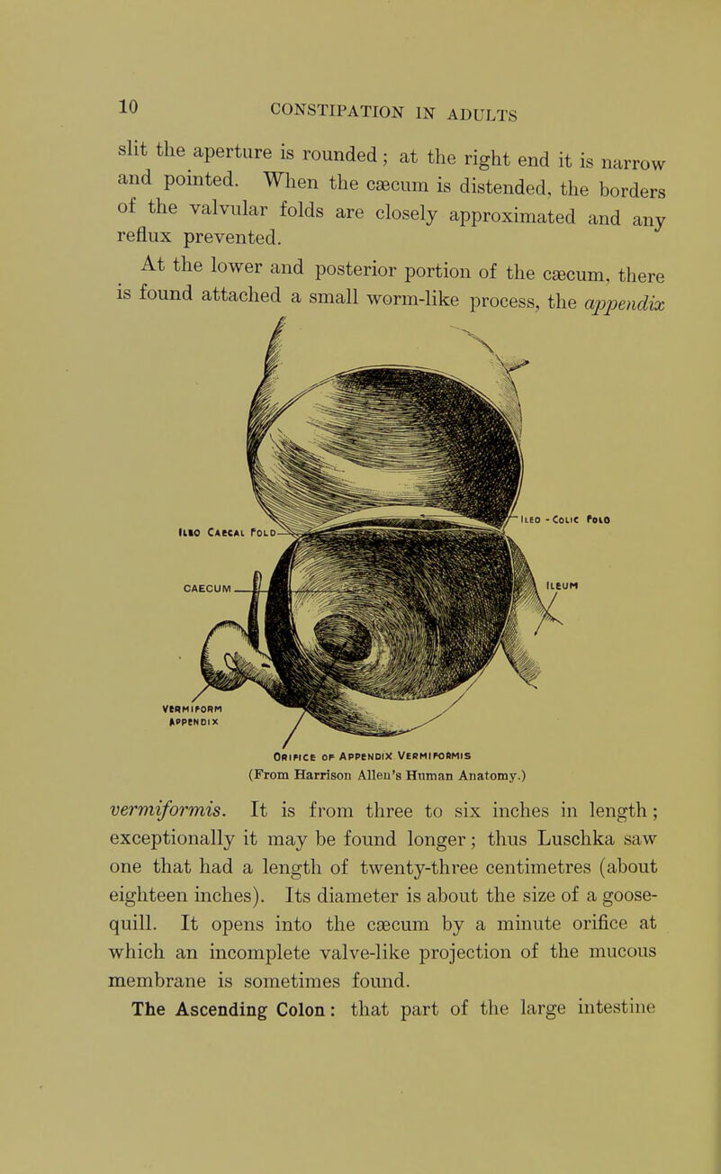 slit the aperture is rounded; at the right end it is narrow and pomted. When the caecum is distended, the borders of the valvular folds are closely approximated and any reflux prevented. At the lower and posterior portion of the caecum, there is found attached a small worm-like process, the appendix iiEo - Colic feio tieuM ORIPICE of APPtNDlX Vermiformis (From Harrison Alleu's Human Anatomy.) vermiformis. It is from three to six inches in length; exceptionally it may be found longer; thus Luschka saw one that had a length of twenty-three centimetres (about eighteen inches). Its diameter is about the size of a goose- quill. It opens into the caecum by a minute orifice at which an incomplete valve-like projection of the mucous membrane is sometimes found. The Ascending Colon: that part of the large intestine