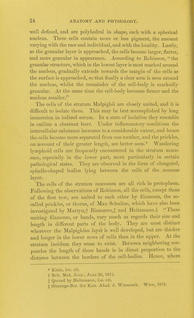 well defined, and are polyhedral in shape, each with a spherical nucleus. These cells contain more or less pigment, the amount varying with the race and individual, and with the locality. Lastly, as the granular layer is approached, the cells become larger, flatter, and more granular in appearance. According to Robinson, the granular structure, which in the lowest layer is most marked around the nucleus, gradually extends towards the margin of the cells as the surface is approached, so that finally a clear area is seen around the nucleus, whilst the remainder of the cell-body is markedly granular. At the same time the cell-body becomes firmer and the nucleus smaller. The cells of the stratum Malpighii are closely united, and it is difficult to isolate them. This may be best accomplished by long immersion in iodized serum. In a state of isolation they resemble in outline a chestnut burr. Under inflammatory conditions the intercellular substance increases to a considerable extent, and hence the cells become more separated from one another, and the prickles, on account of their greater length, are better seen.* Wandering lymphoid cells are frequently encountered in the stratum muco- sum, especially in the lower part, more particularly in certain pathological states. They are observed in the form of elongated, spiiadle-shaped bodies lying between the cells of the.mucous layer. The cells of the stratum mucosum are all rich in protoplasm. Following the observations of Robinson, all the cells, except those of the first row, are united to each other by filaments, the so- called prickles, or thorns, of Max Schultze, which have also been investigated by Martyn,t Bizzozero,J and Heitzmann.§ These uniting filaments, or bands, vary much as regards their size and length in different parts of the body. They are most distinct wherever the Malpighian layer is well developed, but are thicker and longer in the lower rows of cells than in the upper. At the stratum lucidum they cease to exist. Between neighboring cor- puscles the length of these bands is in direct proportion to the distance between the borders of the cell-bodies. Hence, where * Klein, loc. cit. f Brit. Med. Joiir., June 20, 1875. J Quoted by Hcitzninnn, loc. cit. 2 Sitzungs-Ber. dcr Ktiis. Akad. d. Wissensch. VVien, 1873.