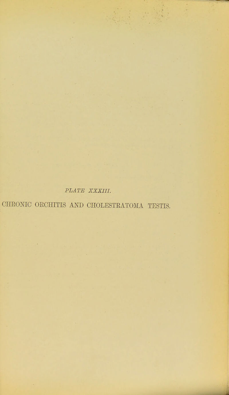 PLATE XXXIII. CHRONIC OECHITIS AND CHOLESTEATOMA TESTIS.