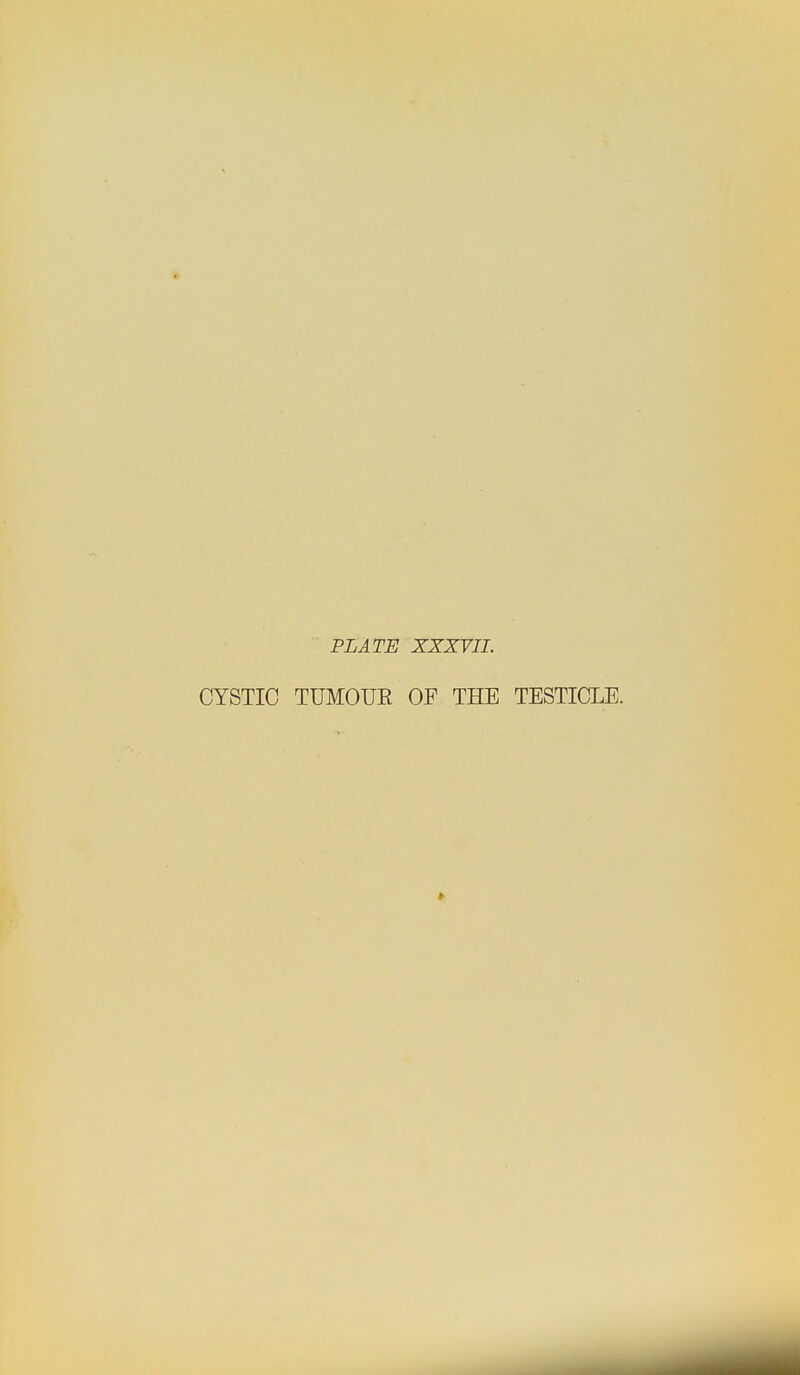 PLATE XXXVII. CYSTIC TUMOUE OF THE TESTICLE.