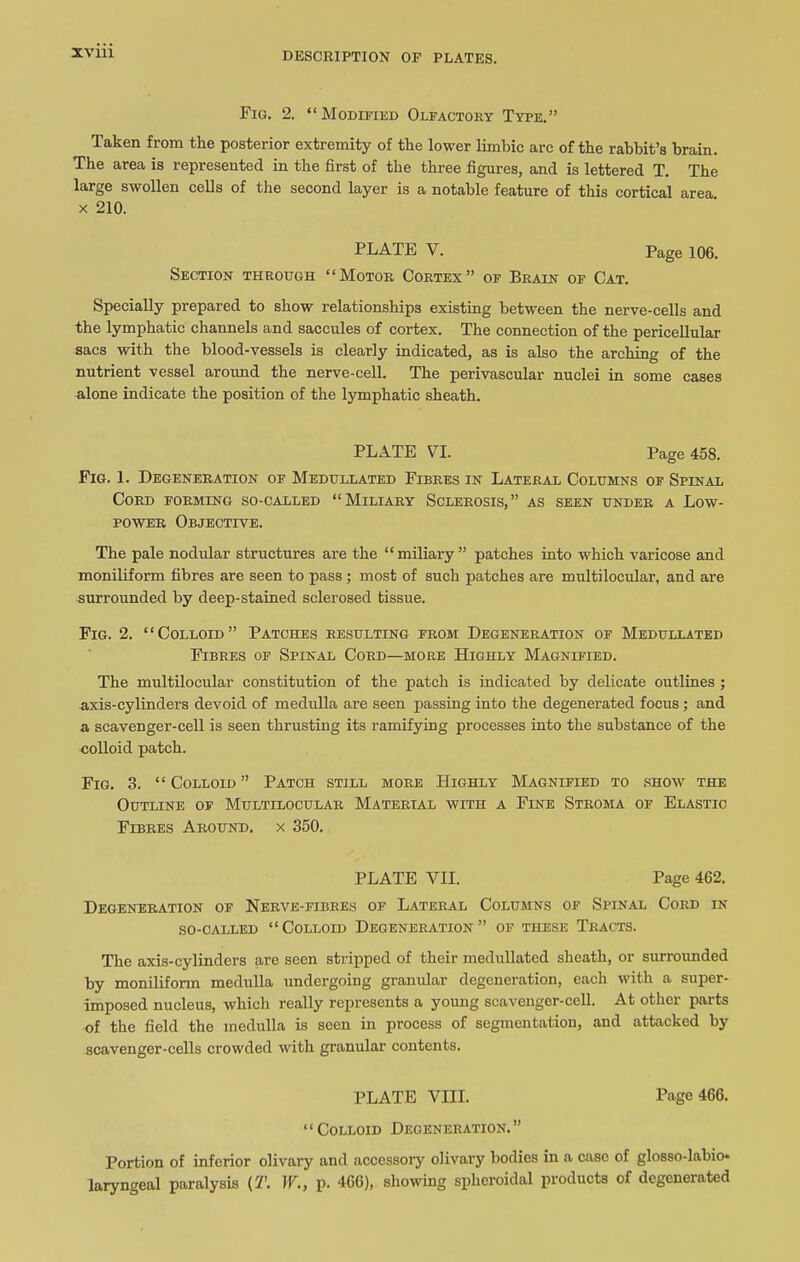 Fig. 2. “Modified Olfactory Type.” Taken from the posterior extremity of the lower limbic arc of the rabbit’s brain. The area is represented in the first of the three figures, and is lettered T. The large swollen cells of the second layer is a notable feature of this cortical area x 210. FLATE V. Page 106. Section through “Motor Cortex” of Brain of Cat. Specially prepared to show relationships existing between the nerve-cells and the lymphatic channels and saccules of cortex. The connection of the pericellular sacs with the blood-vessels is clearly indicated, as is also the arching of the nutrient vessel around the nerve-cell. The perivascular nuclei in some cases alone indicate the position of the lymphatic sheath. PLATE VI. Page 458. Fig. 1. Degeneration of Medullated Fibres in Lateral Columns of Spinal Cord forming so-called “Miliary Sclerosis,” as seen under a Low- power Objective. The pale nodular structures are the “miliary” patches into which varicose and moniliform fibres are seen to pass ; most of such patches are multilocular, and are surrounded by deep-stained sclerosed tissue. Fig. 2. “Colloid” Patches resulting from Degeneration of Medullated Fibres of Spinal Cord—more Highly Magnified. The multilocular constitution of the patch is indicated by delicate outlines ; axis-cylinders devoid of medulla are seen passing into the degenerated focus ; and a scavenger-cell is seen thrusting its ramifying processes into the substance of the colloid patch. Fig. 3. “Colloid” Patch still more Highly Magnified to show the Outline of Multilocular Material with a Fine Stroma of Elastic Fibres Around, x 350. PLATE VII. Page 462. Degeneration of Nerve-fibres of Lateral Columns of Spinal Cord in so-called “Colloid Degeneration” of these Tracts. The axis-cylinders are seen stripped of their medullated sheath, or surrounded by moniliform medulla undergoing granular degeneration, each with a super- imposed nucleus, which really represents a young scavenger-cell. At other parts of the field the medulla is seen in process of segmentation, and attacked by scavenger-cells crowded with granular contents. PLATE VIII. Page 466. “Colloid Degeneration.” Portion of inferior olivary and accessory olivary bodies in a case of glosso-labio* laryngeal paralysis (T. W., p. 466), showing spheroidal products of degenerated