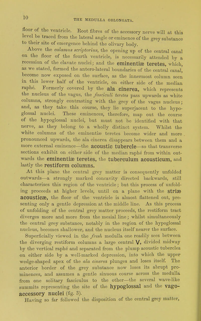 THE MEDULLA OBLONGATA. floor of the ventricle. Root fibres of the accessory nerve will at this level be traced from the lateral angle or eminence of the grey substance to their site of emergence behind the olivary body. Above the calamus scriptorius, the opening up of the central canal on the floor of the fourth ventricle, is necessarily attended by a recession of the clavate nuclei; and the eminentise teretes, which, as we stated, formed the antero-lateral boundaries of the central canal, become now exposed on the surface, as the innermost column seen in this lower half of the ventricle, on either side of the median raphe. Formerly covered by the ala einerea, which represents the nucleus of the vagus, the fasciculi teretes pass upwards as white columns, strongly contrasting with the grey of the vagus nucleus; and, as they take this course, they lie superjacent to the hypo- glossal nuclei. These eminences, therefore, map out the course of the hypoglossal nuclei, but must not be identified with that nerve, as they belong to a wholly distinct system. Whilst the white columns of the eminentise teretes become wider and more pronounced upwards, the ala einerea disappears between them and a more external eminence—the acoustic tubercle—so that transverse sections exhibit on either side of the median raphe from within out- wards the eminentiae teretes, the tuberculum acousticum, and lastly the restiform columns. At this plane the central grey matter is consequently unfolded outwards—a strongly marked concavity directed backwards, still characterises this region of the ventricle; but this process of unfold- ing proceeds at higher levels, until on a plane with the striae acousticae, the floor of the ventricle is almost flattened out, pre- senting only a gentle depression at the middle line. As this process of unfolding of the central grey matter proceeds, the restiform tract diverges more and more from the mesial line; whilst simultaneously the central grey substance, notably in the region of the hypoglossal nucleus, becomes shallower, and the nucleus itself nearer the surface. Superficially viewed in the fresh medulla one readily sees between the diverging restiform columns a lai’ge central V, divided midway by the vertical raphe and separated from the plump acoustic tubercles on either side by a well-marked depression, into which the upper wedge-shaped apex of the ala einerea plunges and loses itself. The anterior border of the grey substance now loses its abrupt pro- minences, and assumes a gentle sinuous course across the medulla from one solitary fasciculus to the other—the several wave-like summits representing the site of the hypog’lossal and the vagO- accessory nuclei (fig. 3). Having so far followed the disposition of the central grey matter.