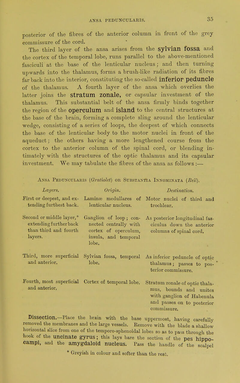 ANSA PEDUNCULARIS. posterior of the fibres of the anterior column in front of the grey commissure of the corcl. The third layer of the ansa arises from the sylvian fossa and the cortex of the temporal lobe, runs parallel to the above-mentioned fasciculi at the base of the lenticular nucleus; and then turning upwards into the thalamus, forms a brusli-like radiation of its fibres far back into the interior, constituting the so-called inferior peduncle of the thalamus. A fourth layer of the ansa which overlies the latter joins the stratum ZOnale, or capsular investment of the thalamus. This substantial belt of the ansa firmly binds together the region of the operculum and island to the central structures at the base of the brain, forming a complete sling around the lenticular wedge, consisting of a series of loops, the deepest of which connects the base of the lenticular body to the motor nuclei in front of the aqueduct; the others having a more lengthened course from the cortex to the anterior column of the spinal cord, or blending in- timately with the structures of the optic thalamus and its capsular investment. We may tabulate the fibres of the ansa as follows :— Ansa Peduncularis (Gratiolet) or Substantia Innominata (Reil). Layers. First or deepest, and ex- tending furthest back. Second or middle layer,* extending further back than third and fourth layers. Third, more superficial and anterior. Fourth, most superficial and anterior. Origin. Laminae medullares of lenticular nucleus. Ganglion of loop; con- nected centrally with cortex of operculum, insula, and temporal lobe. Sylvian fossa, temporal lobe. Cortex of temporal lobe. Destination. Motor nuclei of third and trochlear. As posterior longitudinal fas- ciculus down the anterior columns of spinal cord. Stratum zonale of optic thala- mus, bounds and unites with ganglion of Habenula and passes on to posterior commissure. As inferior peduncle of optic thalamus; passes to pos- terior commissure. Dissection. Place the brain with the base uppermost, having carefully removed the membranes and the large vessels. Remove with the blade a shallow horizontal slice from one of the temporo-sphenoidal lobes so as to pass through the hook Of the uncinate gyrus; this lays bare the section of the pes hippo- campi, and the amygdaloid nucleus. Pass the handle of the scalpel * Greyish in colour and softer than the rest.