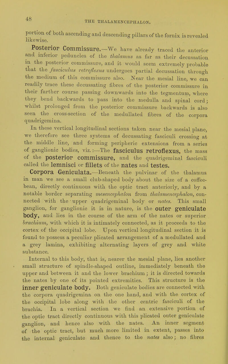 THE THALAMENCEPIIALON. portion of both ascending and descending pillars of the fornix is revealed likewise. Posterior Commissure.—We have already traced the anterior and inferior peduncles of the thalamus as far as their decussation m the posterior commissure, and it would seem extremely probable that the fasciculus retroflexus undergoes partial decussation through the medium of this commissure also. Near the mesial line, we can readily trace these decussating fibres of the posterior commissure in their further course passing downwards into the tegmentum, where they bend backwards to pass into the medulla and spinal cord; whilst prolonged from the posterior commissure backwards is also seen the cross-section of the medullated fibres of the corpora quadrigemina. In these vertical longitudinal sections taken near the mesial plane, we therefore see three systems of decussating fasciculi crossing at the middle line, and forming peripheric extensions from a series of ganglionic bodies, viz. :—The fasciculus retroflexus, the mass of the posterior commissure, and the quadrigeminal fasciculi called the lemnisci or fillets of the nates and testes. Corpora Geniculata.—Beneath the pulvinar of the thalamus in man we see a small club-shaped body about the size of a coffee- bean, directly continuous with the optic tract anteriorly, and by a notable border separating mesencephalon from thalamencephalon, con- nected with the • upper quadrigeminal body or nates. This small ganglion, for ganglionic it is in nature, is the outer geniculate body, and lies in the course of the arm of the nates or superior brachium, with which it is intimately connected, as it proceeds to the cortex of the occipital lobe. Upon vertical longitudinal section it is found to possess a peculiar plicated arrangement of a medullated and a grey lamina, exhibiting alternating layers of grey and white substance. Internal to this body, that is, nearer the mesial plane, lies another small structure of spindle-shaped outline, immediately beneath the upper and between it and the lower brachium; it is directed towards the nates by one of its pointed extremities. This structure is the inner geniculate body. Both geniculate bodies are connected with the corpora quadrigemina on the one hand, and with the cortex of the occipital lobe along with the other centric fasciculi of the brachia. In a vertical section we find an extensive portion of the optic tract directly continuous with this plicated outer geniculate ganglion, and hence also with the nates. An inner segment of the optic tract, but much more limited in extent, passes into the internal geniculate and thence to the nates also; no fibres