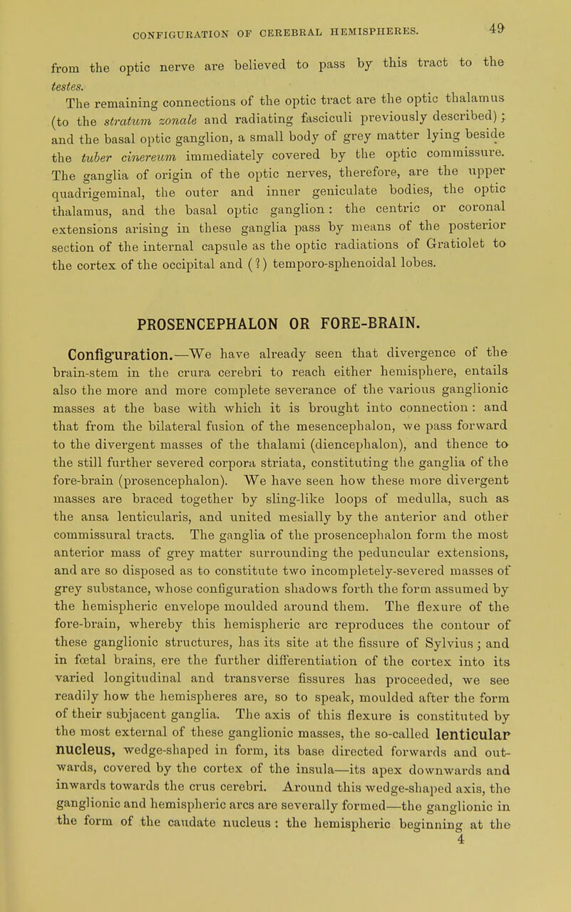 CONFIGURATION OF CEREBRAL HEMISPHERES. from the optic nerve are believed to pass by this tract to the testes. The remaining connections of the optic tract are the optic thalamus (to the stratum zonale and radiating fasciculi previously desciibed) ; and the basal optic ganglion, a small body of grey matter lying beside the tuber cinereum immediately covered by the optic commissure. The <*an<dia of origin of the optic nerves, therefore, are the upper quadrigeminal, the outer and inner geniculate bodies, the optic thalamus, and the basal optic ganglion : the centric or coronal extensions arising in these ganglia pass by means of the posterior section of the internal capsule as the optic radiations of Gratiolet to the cortex of the occipital and (1) temporo-sphenoidal lobes. PROSENCEPHALON OR FORE-BRAIN. Configuration.—We have already seen that divergence of the brain-stem in the crura cerebri to reach either hemisphere, entails also the more and more complete severance of the various ganglionic masses at the base with which it is brought into connection : and that from the bilateral fusion of the mesencephalon, we pass forward to the divergent masses of the thalami (diencephalon), and thence to the still further severed corpora striata, constituting the ganglia of the fore-brain (prosencephalon). We have seen how these more divergent masses are braced together by sling-like loops of medulla, such as the ansa lenticularis, and united mesially by the auterior and other commissural tracts. The ganglia of the prosencephalon form the most anterior mass of grey matter surrounding the peduncular extensions, and are so disposed as to constitute two incompletely-severed masses of grey substance, whose configuration shadows forth the form assumed by the hemispheric envelope moulded around them. The flexure of the fore-brain, whereby this hemispheric arc reproduces the contour of these ganglionic structures, has its site at the fissure of Sylvius ; and in foetal brains, ere the further diffei’entiation of the cortex into its varied longitudinal and transverse fissures has proceeded, we see readily how the hemispheres are, so to speak, moulded after the form of their subjacent ganglia. The axis of this flexure is constituted by the most external of these ganglionic masses, the so-called lenticulaP nucleus, wedge-shaped in form, its base directed forwards and out- wards, covered by the cortex of the insula—its apex downwards and inwards towards the crus cerebri. Around this wedge-shaped axis, the ganglionic and hemispheric arcs are severally formed—the ganglionic in the form of the caudate nucleus : the hemispheric beginning at the 4