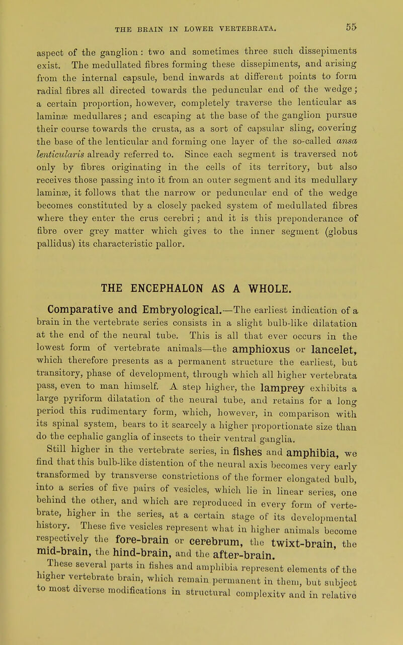 THE BRAIN IN LOWER VERTEBRATA. aspect of the ganglion : two and sometimes three such dissepiments exist. The medullated fibres forming these dissepiments, and arising from the internal capsule, bend inwards at different points to form radial fibres all directed towards the peduncular end of the wedge; a certain proportion, however, completely traverse the lenticular as laminse medullai'es; and escaping at the base of the ganglion pursue their course towards the crusta, as a sort of capsular sling, covering the base of the lenticular and forming one layer of the so-called ansa lenticularis already referred to. Since each segment is traversed not only by fibres originating in the cells of its territory, but also receives those passing into it from an outer segment and its medullary laminae, it follows that the narrow or peduncular end of the wedge becomes constituted by a closely packed system of medullated fibres where they enter the crus cerebri ; and it is this preponderance of fibre over grey matter which gives to the inner segment (globus pallidus) its characteristic pallor. THE ENCEPHALON AS A WHOLE. Comparative and Embryological.—The earliest indication of a brain in the vertebrate series consists in a slight bulb-like dilatation at the end of the neural tube. This is all that ever occurs in the lowest form of vertebrate animals—the amphioxus or laneelet, which therefore presents as a permanent structure the earliest, but transitory, phase of development, through which all higher vertebrata pass, even to man himself. A step higher, the lamprey exhibits a large pyriform dilatation of the neural tube, and retains for a long period this rudimentary form, which, however, in comparison with its spinal system, bears to it scarcely a higher proportionate size than do the cephalic ganglia of insects to their ventral ganglia. Still higher in the vertebrate series, in fishes and amphibia, we find that this bulb-like distention of the neural axis becomes very early transformed by transverse constrictions of the former elongated bulb, into a series of five pairs of vesicles, which lie in linear “series, one behind the other, and which are reproduced in every form of verte- brate, higher in the series, at a certain stage of its developmental history. These five vesicles represent what in higher animals become respectively the fore-brain or cerebrum, the twixt-brain, the mid-brain, the hind-brain, and the after-brain. These several parts in fishes and amphibia represent elements of the ng mr vertebrate brain, which remain permanent in them, but subject to most diverse modifications in structural complexitv and in relative