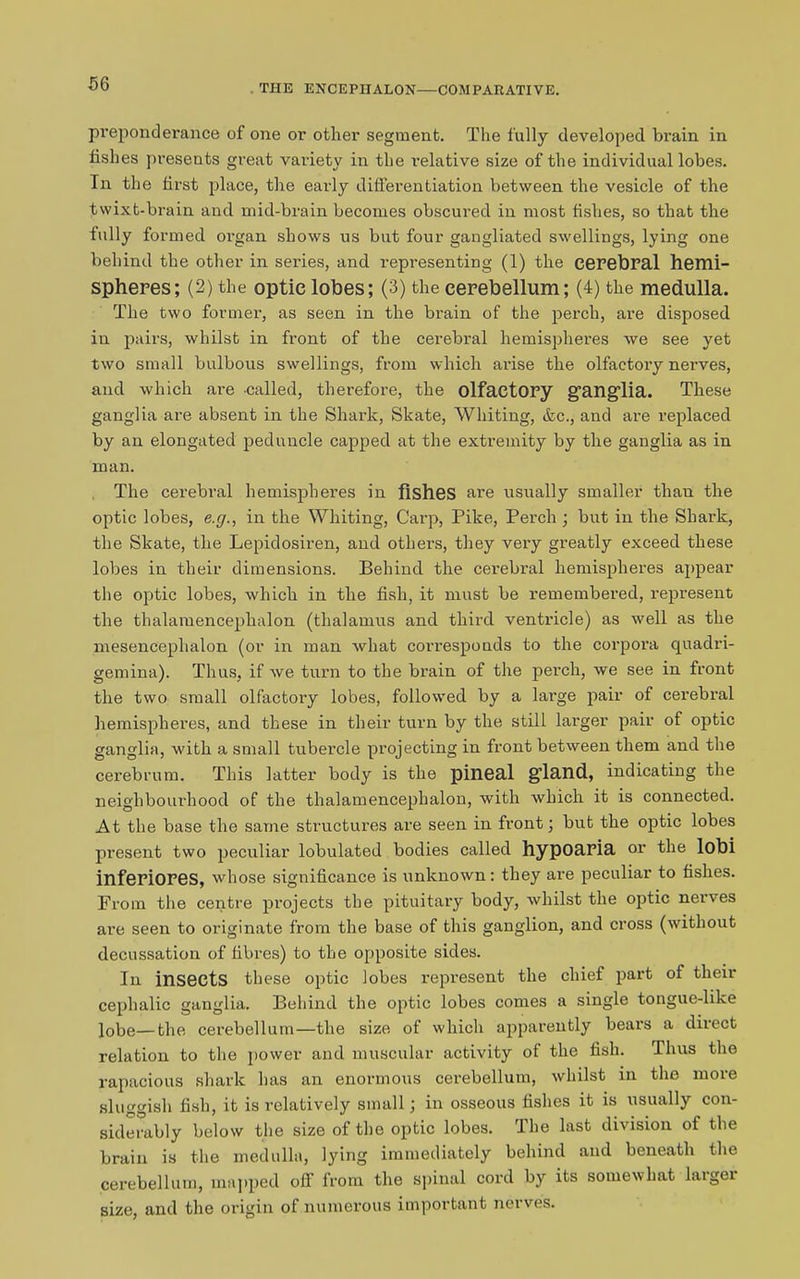 THE ENCEPHALON—COMPARATIVE. preponderance of one or other segment. The fully developed brain in fishes presents great variety in the relative size of the individual lobes. In the first place, the early differentiation between the vesicle of the twixt-brain and mid-brain becomes obscured in most fishes, so that the fully formed organ shows us but four gangliated swellings, lying one behind the other in series, and representing (1) the cerebral hemi- spheres; (2) the optic lobes; (3) the cerebellum; (4) the medulla. The two former, as seen in the brain of the perch, are disposed in pairs, whilst in front of the cerebral hemispheres we see yet two small bulbous swellings, from which arise the olfactory nerves, and which are called, therefore, the olfactory ganglia. These ganglia are absent in the Shark, Skate, Whiting, &c., and are replaced by an elongated peduncle capped at the extremity by the ganglia as in man. The cerebral hemispheres in fishes are usually smaller than the optic lobes, e.g., in the Whiting, Carp, Pike, Perch ; but in the Shark, the Skate, the Lepidosiren, and others, they very greatly exceed these lobes in their dimensions. Behind the cerebral hemispheres appear the optic lobes, which in the fish, it must be remembered, represent the thalamencephalon (thalamus and third ventricle) as well as the mesencephalon (or in man what corresponds to the corpora quadri- gemina). Thus, if we turn to the brain of the perch, we see in front the two small olfactory lobes, followed by a large pair of cerebral hemispheres, and these in their turn by the still larger pair of optic ganglia, with a small tubercle projecting in front between them and the cerebrum. This latter body is the pineal g’land, indicating the neighbourhood of the thalamencephalon, with which it is connected. At the base the same structures are seen in front; but the optic lobes present two peculiar lobulated bodies called hypOUPia or the lobi inferiores, whose significance is unknown: they are peculiar to fishes. From the centre projects the pituitary body, whilst the optic nerves are seen to originate from the base of this ganglion, and cross (without decussation of fibres) to the opposite sides. In insects these optic lobes represent the chief part of their cephalic ganglia. Behind the optic lobes comes a single tongue-like lobe—the cerebellum—the size of which apparently bears a direct relation to the power and muscular activity of the fish. Thus the rapacious shark has an enormous cerebellum, whilst in the more sluggish fish, it is relatively small; in osseous fishes it is usually con- siderably below the size of the optic lobes. The last division of the brain is the medulla, lying immediately behind and beneath the cerebellum, mapped off from the spinal cord by its somewhat larger size, and the origin of numerous important nerves.