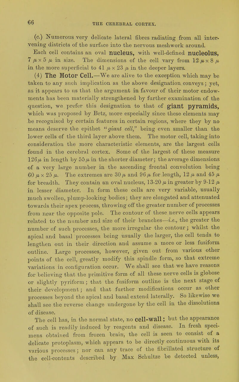 (c.) Numerous veiy delicate lateral fibres radiating from all inter- vening districts of the surface into the nervous mesliwork around. Each cell contains an oval nucleus, with well-defined nucleolus, 7 /a x 5 [a in size. The dimensions of the cell vary from 12 /ax 8 /a in the more superficial to 41 /a x 23 /a in the deeper layers. (4) The Motor Cell.—We are alive to the exception which may be taken to any such implication as the above designation conveys; yet, as it appears to us that the argument in favour of their motor endow- ments has been materially strengthened by further examination of the question, we prefer this designation to that of giant pyramids, which was proposed by Betz, more especially since these elements may be recognised by certain features in certain regions, where they by no means deserve the epithet “ giant cellbeing even smaller than the lower cells of the third layer above them. The motor cell, taking into consideration the more characteristic elements, are the largest cells found in the cerebral cortex. Some of the largest of these measure 126/a in length by 55/a in the shorter diameter; the average dimensions of a very large number in the ascending frontal convolution being 60 /a x 25 /a. The extremes are 30 /a and 96 /a for length, 12 /a and 45 /a for breadth. They contain an oval nucleus, 13-20 /a in greater by 9-12 /a in lesser diameter. In form these cells are very variable, usually much swollen, plump-looking bodies; they are elongated and attenuated towards their apex process, throwing off the greater number of processes from near the opposite pole. The contour of these nerve cells appears related to the number and size of their branches—i.e., the greater the number of such processes, the more irregular the contour; whilst the apical and basal processes being usually the larger, the cell tends to lengthen out in their direction and assume a more or less fusiform O # outline. Large processes, however, given out from various other points of the cell, greatly modify this spindle form, so that extreme variations in configuration occur. We shall see that we have reasons for believing that the primitive form of all these nerve cells is globose or slightly pyriform ; that the fusiform outline is the next stage of their development; and that further modifications occur as other processes beyond the apical and basal extend laterally. So likewise we shall see the reverse change undergone by the cell in the dissolutions of disease. The cell has, in the normal state, no cell-wall; but the appearance of such is readily induced by reagents and disease. In fresh speci- mens obtained from frozen brain, the cell is seen to consist of a delicate protoplasm, which appears to be directly continuous with its various processes; nor can any trace of the tibrillated structure of the cell-contents described by Max Schultze bo detected unless,