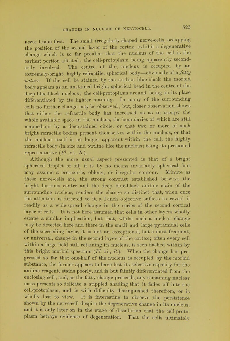CHANGES IN NUCLEUS OF NERVE-CELL. nerve lesion first. The small irregularly-shaped nerve-cells, occupying the position of the second layer of the cortex, exhibit a degenerative change which is so far peculiar that the nucleus ol the cell is the earliest portion affected ; the cell-protoplasm being apparently second- arily involved. The centre of the\ nucleus is occupied by an extremely-bright, highly-refractile, spherical body—obviously of a fatty nature. If the cell be stained by the aniline blue-black the moibid body appears as an unstained bright, spherical bead in the centre of the deep blue-black nucleus; the cell-protoplasm around being in its place differentiated by its lighter staining. In many of the surrounding cells no further change may be observed ; but, closer observation shows that either the refractile body has increased so as to occupy the whole available space in the nucleus, the boundaries of which are still mapped-out by a deep-stained circle, or that two or more of such bright refractile bodies present themselves within the nucleus, or that the nucleus itself is no longer apparent within the cell, the highly refractile body (in size and outline like the nucleus) being its presumed representative (PI. xi., B.). Although the more usual aspect presented is that of a bright spherical droplet of oil, it is by no means invariably spherical, but may assume a crescentic, oblong, or irregular contour. Minute as these nerve-cells are, the strong contrast established betwixt the bright lustrous centre and the deep blue-black aniline stain of the surrounding nucleus, renders the change so distinct that, when once the attention is directed to it, a 1-inch objective suffices to reveal it readily as a wide-spread change in the series of the second cortical layer of cells. It is not here assumed that cells in other layers wholly escape a similar implication, but that, whilst such a nuclear change may be detected here and there in the small and large pyramidal cells of the succeeding layer, it is not an exceptional, but a most frequent, or universal, change in the second layer of the cortex; often every cell within a large field still retaining its nucleus, is seen flashed within by this bright morbid spectrum (PI. xi., B ). When the change has pro- gressed so far that one-half of the nucleus is occupied by the morbid substance, the former appears to have lost its selective capacity for the aniline reagent, stains poorly, and is but faintly differentiated from the enclosing cell; and, as the fatty change proceeds, any remaining nuclear mass presents so delicate a stippled shading that it fades off into the cell-protoplasm, and is with difficulty distinguished therefrom, or is wholly lost to view. It is interesting to observe the persistence shown by the nerve-cell despite the degenerative change in its nucleus, and it is only later on in the stage of dissolution that the cell-proto- plasm betrays evidence of degeneration. That the cells ultimately