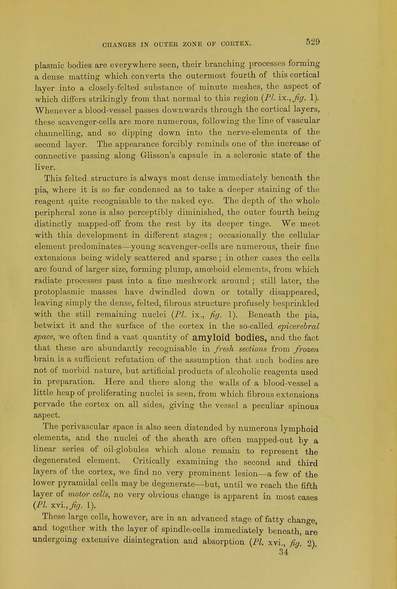 CHANGES IN OUTER ZONE OE CORTEX. plasmic bodies are everywhere seen, their branching processes forming a dense matting which converts the outermost fourth of this cortical layer into a closely-felted substance of minute meshes, the aspect of which differs strikingly from that normal to this region (PI. ix.,y?y. 1). Whenever a blood-vessel passes downwards through the cortical layers, these scavenger-cells are more numerous, following the line of vascular channelling, and so dipping down into the nerve-elements of the second layer. The appearance forcibly reminds one of the increase of connective passing along Glisson’s capsule in a sclerosic state of the liver. This felted structure is always most dense immediately beneath the pia, where it is so far condensed as to take a deeper staining of the reagent quite recognisable to the naked eye. The depth of the whole peripheral zone is also perceptibly diminished, the outer fourth being distinctly mapped-off from the rest by its deeper tinge. We meet with this development in different stages; occasionally the cellular element predominates—young scavenger-cells are numerous, their fine extensions being widely scattered and sparse; in other cases the cells are found of larger size, forming plump, amoeboid elements, from which radiate processes pass into a fine meshwork around ; still later, the protoplasmic masses have dwindled down or totally disappeared, leaving simply the dense, felted, fibrous structure profusely besprinkled with the still remaining nuclei (PI. ix., fig. 1). Beneath the pia, betwixt it and the surface of the cortex in the so-called epicerebral space, we often find a vast quantity of amyloid bodies, and the fact that these are abundantly recognisable in fresh sections from frozen brain is a sufficient refutation of the assumption that such bodies are not of morbid nature, but artificial products of alcoholic reagents used in preparation. Here and there along the walls of a blood-vessel a little heap of proliferating nuclei is seen, from which fibrous extensions pervade the cortex on all sides, giving the vessel a peculiar spinous aspect. The perivascular space is also seen distended by numerous lymphoid elements, and the nuclei of the sheath are often mapped-out by a linear series of oil-globules which alone remain to represent the degenerated element. Critically examining the second and third layers of the cortex, we find no very prominent lesion—a few of the lower pyramidal cells may be degenerate—but, until we reach the fifth layer of motor cells, no very obvious change is apparent in most cases (PI. xvi,,fig. 1). These large cells, however, are in an advanced stage of fatty change, and together with the layer of spindlercells immediately beneath, are undergoing extensive disintegration and absorption (PI. xvi., fig 2) 34