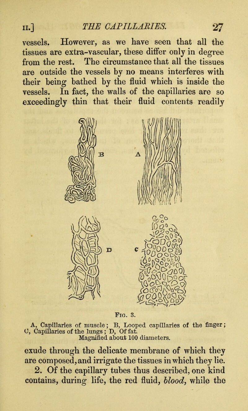 vessels. However, as we have seen that all the tissues are extra-vascular, these differ only in degree from the rest. The circumstance that all the tissues are outside the vessels by no means interferes with their being bathed by the fluid which is inside the vessels. In fact, the walls of the capillaries are so exceedingly thin that their fluid contents readily Fig. 3. A, Capillaries of muscle; B, Looped capillaries of the finger; C, Capillaries of the lungs ; D, Of fat. Magnified about 100 diameters. exude through the delicate membrane of which they are composed, and irrigate the tissues in which they lie. 2. Of the capillary tubes thus described, one kind contains, during life, the red fluid, blood, while the