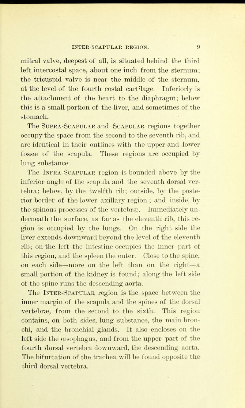 mitral valve, deepest of all, is situated behind the third left intercostal space, about one inch from the sternum; the tricuspid valve is near the middle of the sternum, at the level of the fourth costal cartilage. Inferiorly is the attachment of the heart to the diaphragm; below this is a small portion of the liver, and sometimes of the stomach. The Supra-Scapular and Scapular regions together occupy the space from the second to the seventh rib, and are identical in their outlines with the upper and lower fossae of the scapula. These regions are occupied by lung substance. The Infra-Sc apular region is bounded above by the inferior angle of the scapula and the seventh dorsal ver- tebra; below, by the twelfth rib; outside, by the poste- rior border of the lower axillary region ; and inside, by the spinous processes of the vertebrae. Immediately un- derneath the surface, as far as the eleventh rib, this re- gion is occupied by the lungs. On the right side the liver extends downward beyond the level of the eleventh rib; on the left the intestine occupies the inner part of this region, and the spleen the outer. Close to the spine, on each side—more on the left than on the right—a small portion of the kidney is found; along the left side of the spine runs tbe descending aorta. The Inter-Scapular region is the space between the inner margin of the scapula and the spines of the dorsal vertebrae, from the second to the sixth. This region contains, on both sides, lung substance, the main bron- chi, and the bronchial glands. It also encloses on the left side the oesophagus, and from the upper part of the fourth dorsal vertebra downward, the descending aorta. The bifurcation of the trachea will be found opposite the third dorsal vertebra.