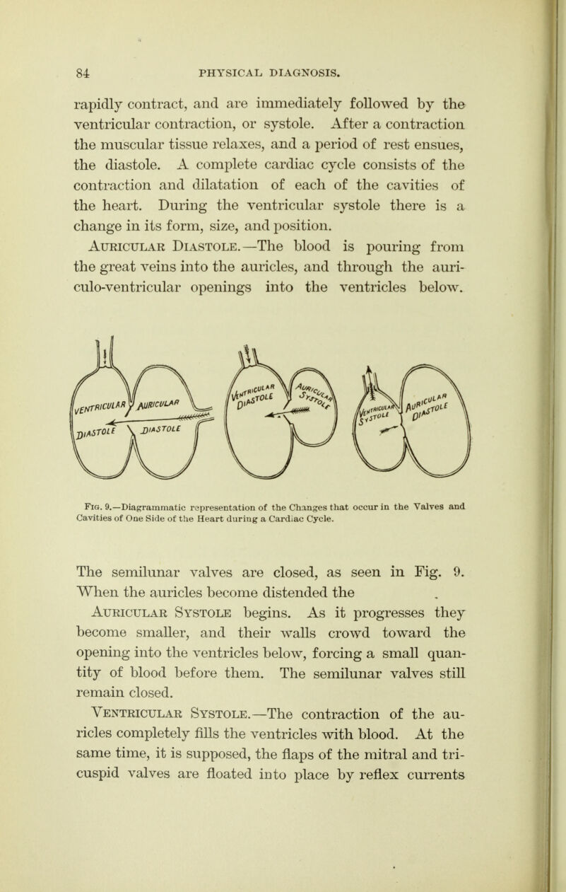 rapidly contract, and are immediately followed by the ventricular contraction, or systole. After a contraction the muscular tissue relaxes, and a period of rest ensues, the diastole. A complete cardiac cycle consists of the contraction and dilatation of each of the cavities of the heart. During the ventricular systole there is a change in its form, size, and position. Auricular Diastole.—The blood is pouring from the great veins into the auricles, and through the auri- culo-ventricular openings into the ventricles below. Fig. 9.—Diagrammatic representation of the Changes that occur in the Valves and Cavities of One Side of the Heart during a Cardiac Cycle. The semilunar valves are closed, as seen in Fig. 9. When the auricles become distended the Auricular Systole begins. As it progresses they become smaller, and their walls crowd toward the opening into the ventricles below, forcing a small quan- tity of blood before them. The semilunar valves still remain closed. Ventricular Systole.—The contraction of the au- ricles completely fills the ventricles with blood. At the same time, it is supposed, the flaps of the mitral and tri- cuspid valves are floated into place by reflex currents