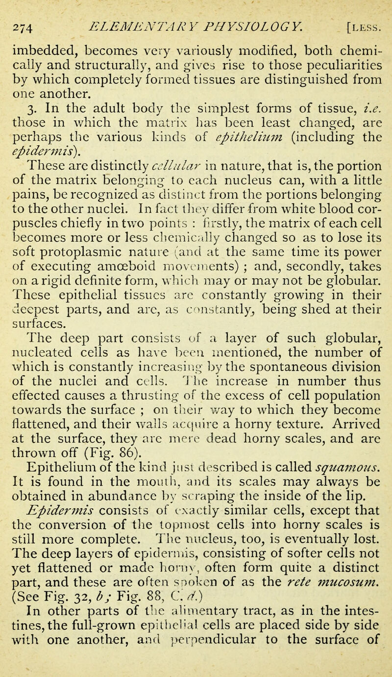 imbedded, becomes very variously modified, both chemi- cally and structurally, and gives rise to those peculiarities by which completely formed tissues are distinguished from one another. 3. In the adult body the simplest forms of tissue, i.e. those in which the matrix has been least changed, are perhaps the various kinds of epithelium (including the epiderjnis). These are distinctly cellular in nature, that is, the portion of the matrix belonging to each nucleus can, with a little pains, be recognized as distinct from the portions belonging to the other nuclei. In fact lliov differ from white blood cor- puscles chiefly in tv/o points : fi rstly, the matrix of each cell becomes more or less chemicrilly changed so as to lose its soft protoplasmic nature (and at the same time its power of executing amoeboid movements) ; and, secondly, takes on a rigid definite form, which may or may not be globular. These epithelial tissues are constantly growing in their deepest parts, and arc, as constantly, being shed at their surfaces. The deep part consists of a layer of such globular, nucleated cells as have bee51 mentioned, the number of which is constantly increasing the spontaneous division of the nuclei and cells. T he increase in number thus effected causes a thrusting of the excess of cell population towards the surface ; on their v/ay to which they become flattened, and their walls acquire a horny texture. Arrived at the surface, they are mere dead horny scales, and are thrown off (Fig. 86). Epithelium of the kind just described is called squamous. It is found in the mouth, and its scales may always be obtained in abundance by scraping the inside of the lip. Epiderjnis consists of exactly similar cells, except that the conversion of the topmost cells into horny scales is still more complete. Tlie nucleus, too, is eventually lost. The deep layers of epidermis, consisting of softer cells not yet flattened or made horny, often form quite a distinct part, and these are often spoken of as the rete mucosum. (See Fig. 32, b; Fig. 88, C. d) In other parts of tlie alimentary tract, as in the intes- tines, the full-grown epithelial cells are placed side by side with one another, and perpendicular to the surface of