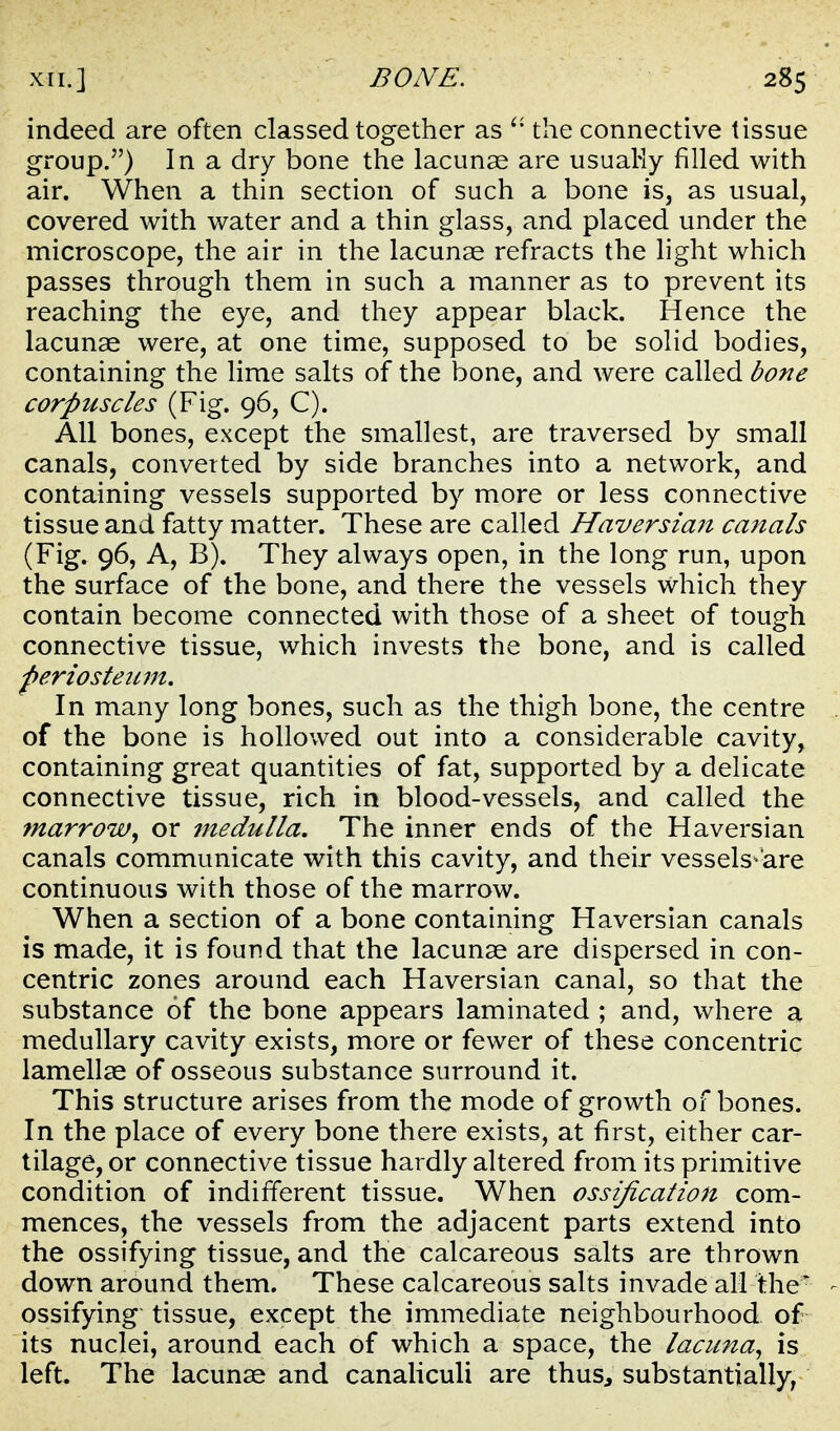 indeed are often classed together as the connective tissue group.) In a dry bone the lacunag are usuaKy filled with air. When a thin section of such a bone is, as usual, covered with water and a thin glass, and placed under the microscope, the air in the lacunae refracts the light which passes through them in such a manner as to prevent its reaching the eye, and they appear black. Hence the lacunae were, at one time, supposed to be solid bodies, containing the lime salts of the bone, and were called bone corpuscles (Fig. 96, C). AH bones, except the smallest, are traversed by small canals, converted by side branches into a network, and containing vessels supported by more or less connective tissue and fatty matter. These are called Haversian canals (Fig. 96, A, B). They always open, in the long run, upon the surface of the bone, and there the vessels which they contain become connected with those of a sheet of tough connective tissue, which invests the bone, and is called periosteum. In many long bones, such as the thigh bone, the centre of the bone is hollowed out into a considerable cavity, containing great quantities of fat, supported by a delicate connective tissue, rich in blood-vessels, and called the marrow^ or medulla. The inner ends of the Haversian canals communicate with this cavity, and their vessels-are continuous with those of the marrow. When a section of a bone containing Haversian canals is made, it is found that the lacunae are dispersed in con- centric zones around each Haversian canal, so that the substance of the bone appears laminated ; and, where a medullary cavity exists, more or fewer of these concentric lamellae of osseous substance surround it. This structure arises from the mode of growth of bones. In the place of every bone there exists, at first, either car- tilage, or connective tissue hardly altered from its primitive condition of indifferent tissue. When ossification com- mences, the vessels from the adjacent parts extend into the ossifying tissue, and the calcareous salts are thrown down around them. These calcareous salts invade all the' ossifying tissue, except the immediate neighbourhood of its nuclei, around each of which a space, the lacuna^ is. left. The lacunae and canaliculi are thusj substantially,'