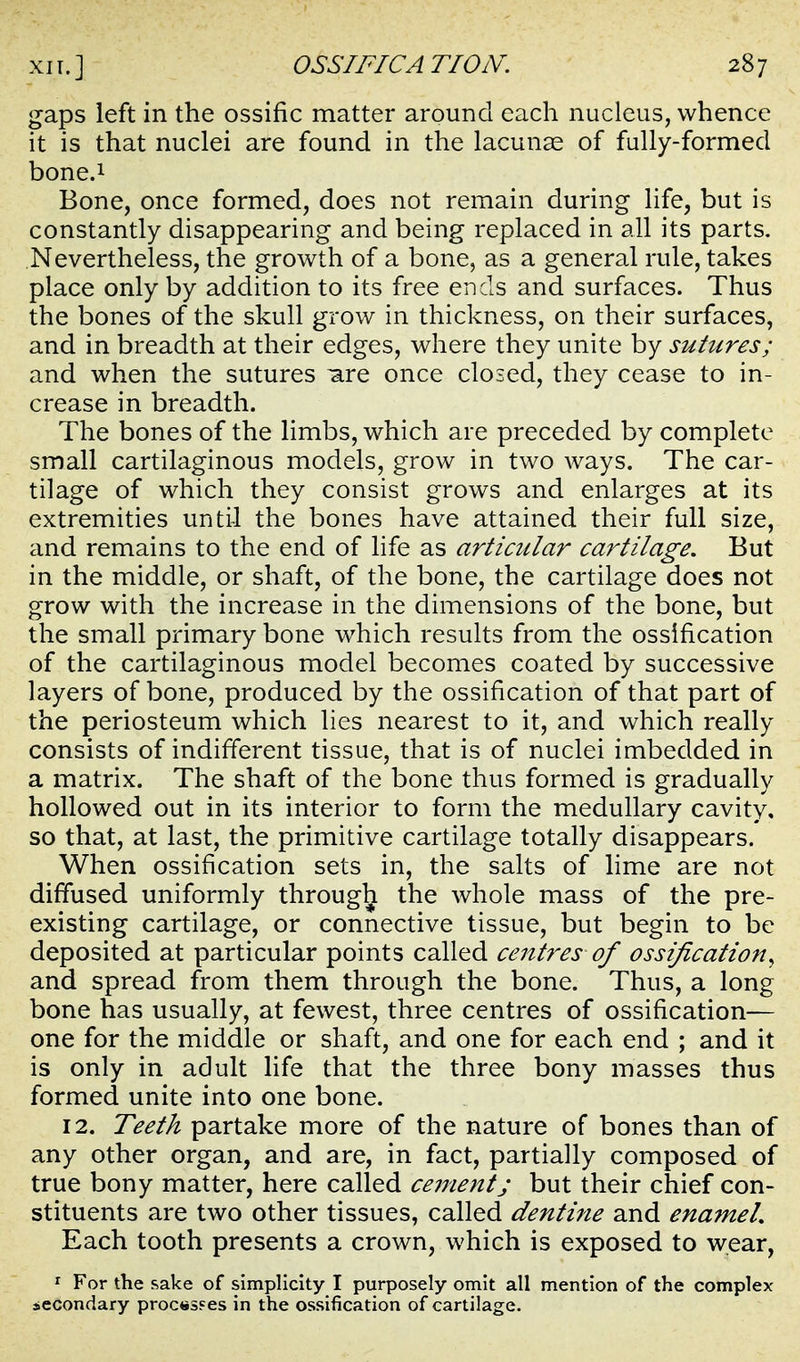 gaps left in the ossific matter around each nucleus, whence it is that nuclei are found in the lacunae of fully-formed bone.i Bone, once formed, does not remain during life, but is constantly disappearing and being replaced in all its parts. Nevertheless, the growth of a bone, as a general rule, takes place only by addition to its free ends and surfaces. Thus the bones of the skull grow in thickness, on their surfaces, and in breadth at their edges, where they unite by sutures; and when the sutures ^re once closed, they cease to in- crease in breadth. The bones of the limbs, which are preceded by complete small cartilaginous models, grow in two ways. The car- tilage of which they consist grows and enlarges at its extremities unti-1 the bones have attained their full size, and remains to the end of life as articular cartilage. But in the middle, or shaft, of the bone, the cartilage does not grow with the increase in the dimensions of the bone, but the small primary bone which results from the ossification of the cartilaginous model becomes coated by successive layers of bone, produced by the ossification of that part of the periosteum which lies nearest to it, and which really consists of indifferent tissue, that is of nuclei imbedded in a matrix. The shaft of the bone thus formed is gradually hollowed out in its interior to form the medullary cavity, so that, at last, the primitive cartilage totally disappears. When ossification sets in, the salts of lime are not diffused uniformly through the whole mass of the pre- existing cartilage, or connective tissue, but begin to be deposited at particular points called centres of ossification^ and spread from them through the bone. Thus, a long bone has usually, at fewest, three centres of ossification— one for the middle or shaft, and one for each end ; and it is only in adult life that the three bony masses thus formed unite into one bone. 12. Teeth partake more of the nature of bones than of any other organ, and are, in fact, partially composed of true bony matter, here called cementj but their chief con- stituents are two other tissues, called dentine and enameL Each tooth presents a crown, which is exposed to wear, ^ For the sake of simplicity I purposely omit all mention of the complex secondary proc«SFes in the ossification of cartilage.