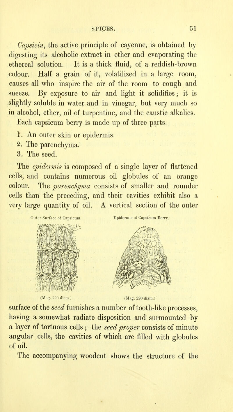 Capsicin^ the active principle of cayenne, is obtained by digesting its alcoholic extract in ether and evaporating the ethereal solution. It is a thick fluid, of a reddish-brown colour. Half a grain of it, volatilized in a large room, causes all who inspire the air of the room to cough and sneeze. By exposure to air and hght it sohdifies; it is sHghtly soluble in water and in vinegar, but very much so in alcohol, ether, oil of turpentine, and the caustic alkalies. Each capsicum berry is made up of three parts. 1. An outer skin or epidermis. 2. The parenchyma. 3. The seed. The epidermis is composed of a single layer of flattened cells, and contains numerous oil globules of an orange colour. The parenchyma consists of smaller and rounder cells than the preceding, and their cavities exhibit also a very large quantity of oil. A vertical section of the outer Outer Surface of Capsicum. Epidermis of Capsicum Berry. surface of the seed furnishes a number of tooth-like processes, having a somewhat radiate disposition and surmounted by a layer of tortuous cells ; the seed proper consists of minute angular cells, the cavities of which are filled with globules of oil. The accompanying woodcut shows the structure of the