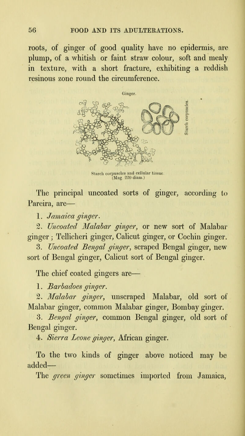 roots, of ginger of good quality have no epidermis, are plump, of a whitish or faint straw colour, soft and mealy in texture, with a short fracture, exhibiting a reddish resinous zone round the circumference. Ginger. Starcli corpuscles and cellular tissue. (Mag. 220 diam.) The principal uncoated sorts of ginger, according to Pareira, are— 1. Jamaica ginger. 2. Uncoated Malabar ginger, or new sort of Malabar ginger; Tellicheri ginger, Calicut ginger, or Cochin ginger. 3. Uncoated Bengal ginger, scraped Bengal ginger, new sort of Bengal ginger, Calicut sort of Bengal ginger. The chief coated gingers are— 1. Barbadoes ginger. 2. Malabar ginger, unscraped Malabar, old sort of Malabar ginger, common Malabar ginger, Bombay ginger. 3. Bengal ginger, common Bengal ginger, old sort of Bengal ginger. 4. Sierra Leone ginger, African ginger. To the two kinds of ginger above noticed may be added— The green ginger sometimes imported from Jamaica,