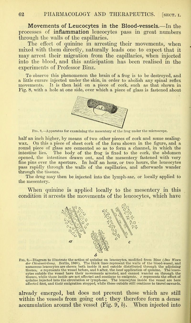 Movements of Leucocytes in the Blood-vessels.—In the processes of inflammation leucocytes pass in great numbers through the walls of the capillaries. The effect of guinine in arresting their movements, when mixed with them directly, naturally leads one to expect that it may arrest their migration from the capillaries, when injected into the blood, and this anticipation has been realised in the experiments of Professor Binz. To observe this phenomenon the brain of a frog is to be destroyed, and a little curare injected under the skin, in order to abohsh any spinal reflex movements. It is then laid on a piece of cork, such as that shown in Fig. 8, with a hole at one side, over which a piece of glass is fastened about Pig. 8.—Apparatus for examining the mesentery of the frog under the microscope. half an inch higher, by means of two other pieces of cork and some sealing- wax. On this a piece of sheet cork of the form shown in the figure, and a round piece of glass are cemented so as to form a channel, in which the intestine hes. The body of the frog is fixed to the cork, the abdomen opened, the intestines drawn out, and the mesentery fastened with very fine pins over the aperture. In half an hour, or two hours, the leucocytes pass rapidly through the walls of the capillaries, and afterwards wander through the tissues. The drug may then be injected into the lymph-sac, or locally applied to the mesentery. When quinine is applied locally to the mesentery in this condition it arrests the movements of the leucocytes, which have Fig. 9.—Diagram to illustrate the action of quinine on leucocytes, modified from Binz {Das Wesen der Chinimcirkung. Berlin, 1868). The thick lines represent the Avails of the blood-vessel, and numerous leucocytes are shown both inside it and outside distribiited through the adjoining tissues, a represents the vessel before, and b after, the local application of quinine. The leuco- cytes outside the vessel have their movements arrested, and cannot wander on through the tissues, while those inside are not affected and continue to emigrate, c represents the effect of quinine injected into the circulation or lymph-sac. The leucocytes inside the vessel are here affected first, and their emigration stopped, while those outside still continue to travel onwards. already emerged, but does not prevent those which are still within the vessels from going out; they therefore form a dense accumulation around the vessel (Fig. 9, h). When injected into 6