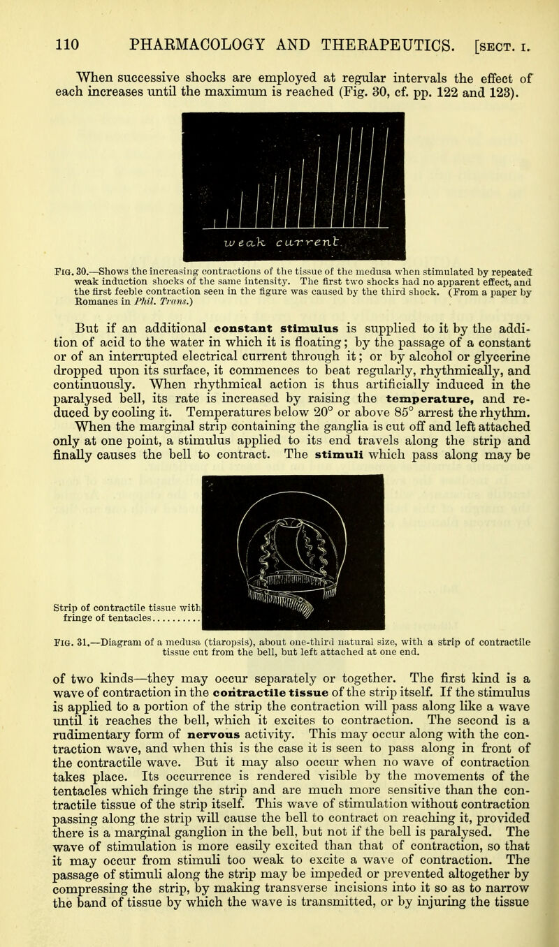 When successive shocks are employed at regular intervals the effect of each increases until the maximum is reached (Fig. 30, cf. pp. 122 and 123). Pig. 30.—Shows the increasing contractions of the tissue of the medusa when stimulated by repeated weak induction shocks of the same intensity. The first two shocks had no apparent eflEect, and the first feeble contraction seen in the figure was caused by the third shock. (From a paper by Romanes in Fhil. Trans.) But if an additional constant stimulus is supplied to it by the addi- tion of acid to the water in which it is floating; by the passage of a constant or of an interrupted electrical current through it; or by alcohol or glycerine dropped upon its surface, it commences to beat regularly, rhythmically, and continuously. When rhythmical action is thus artificially induced in the paralysed bell, its rate is increased by raising the temperature, and re- duced by cooling it. Temperatures below 20° or above 85° arrest the rhythm. When the marginal strip containing the ganglia is cut off and left attached only at one point, a stimulus applied to its end travels along the strip and finally causes the bell to contract. The stimuli which pass along may be strip of contractile tissite with fringe of tentacles Fig. 31.—Diagram of a medusa (tiaropsis), about one-third natural size, with a strip of contractile tissue cut from the bell, but left attached at one end. of two kinds—they may occur separately or together. The first kind is a wave of contraction in the contractile tissue of the strip itself. If the stimulus is applied to a portion of the strip the contraction will pass along like a wave until it reaches the bell, which it excites to contraction. The second is a rudimentary form of nervous activity. This may occur along with the con- traction wave, and when this is the case it is seen to pass along in front of the contractile wave. But it may also occur when no wave of contraction takes place. Its occurrence is rendered visible by the movements of the tentacles which fringe the strip and are much more sensitive than the con- tractile tissue of the strip itself. This wave of stimulation without contraction passing along the strip will cause the bell to contract on reaching it, provided there is a marginal ganglion in the bell, but not if the bell is paralysed. The wave of stimulation is more easily excited than that of contraction, so that it may occur from stimuli too weak to excite a wave of contraction. The passage of stimuli along the strip may be impeded or prevented altogether by compressing the strip, by making transverse incisions into it so as to narrow the band of tissue by which the wave is transmitted, or by injuring the tissue