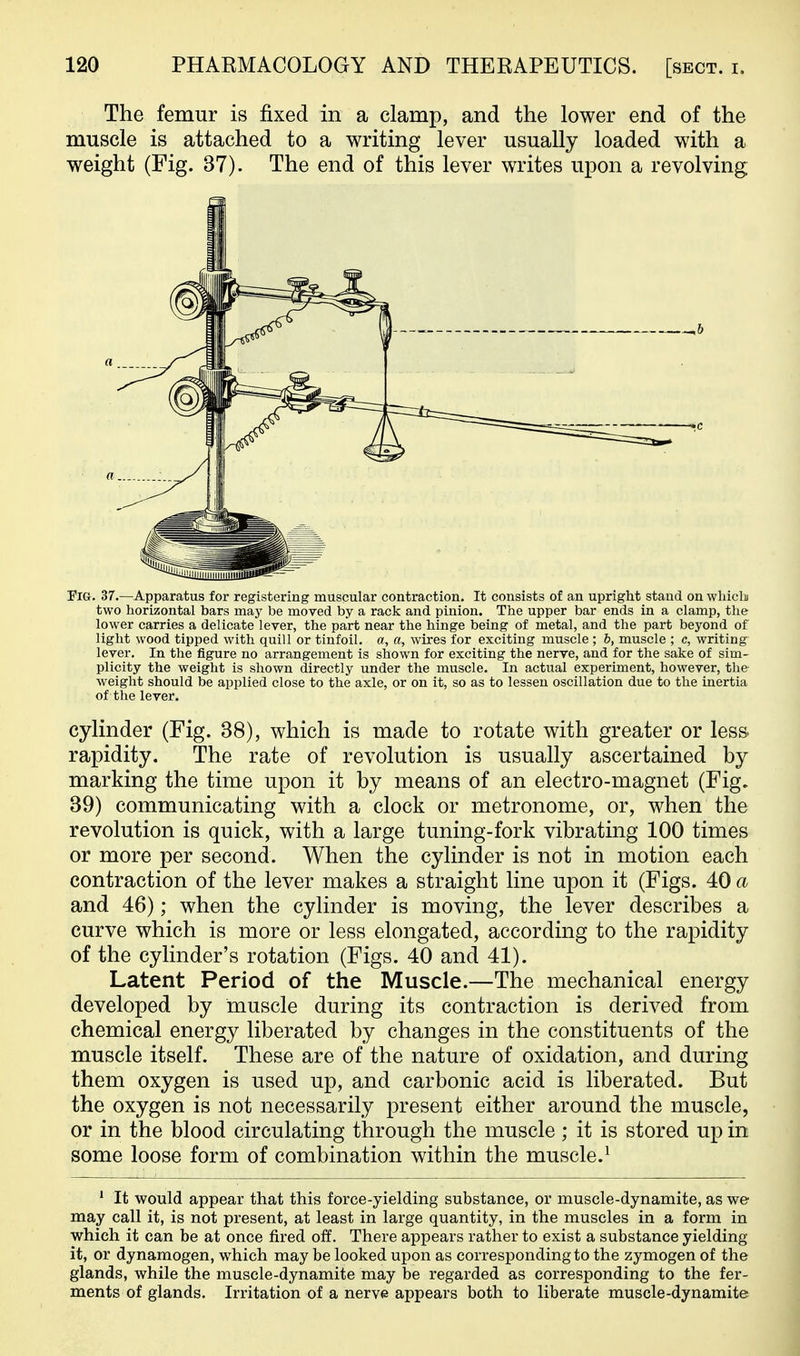 The femur is fixed in a clamp, and the lower end of the muscle is attached to a writing lever usually loaded with a weight (Fig. 37). The end of this lever writes upon a revolving Fig. 37.—Apparatus for registering muscular contraction. It consists of an upright stand on wbicb two horizontal bars may be moved by a rack and pinion. The upper bar ends in a clamp, the lower carries a delicate lever, the part near the hinge being of metal, and the part beyond of light wood tipped with quill or tinfoil, a, a, wires for exciting muscle ; b, muscle ; c, writing lever. In the figure no arrangement is shown for exciting the nerve, and for the sake of sim- plicity the weight is shown directly under the muscle. In actual experiment, however, the weight should be applied close to the axle, or on it, so as to lessen oscillation due to the inertia of the lever. cylinder (Fig. 38), which is made to rotate with greater or less, rapidity. The rate of revolution is usually ascertained by marking the time upon it by means of an electro-magnet (Fig, 39) communicating with a clock or metronome, or, when the revolution is quick, with a large tuning-fork vibrating 100 times or more per second. When the cylinder is not in motion each contraction of the lever makes a straight line upon it (Figs. 40 a and 46); when the cylinder is moving, the lever describes a curve which is more or less elongated, according to the rapidity of the cylinder's rotation (Figs. 40 and 41). Latent Period of the Muscle.—The mechanical energy developed by muscle during its contraction is derived from chemical energy liberated by changes in the constituents of the muscle itself. These are of the nature of oxidation, and during them oxygen is used up, and carbonic acid is liberated. But the oxygen is not necessarily present either around the muscle, or in the blood circulating through the muscle ; it is stored up in some loose form of combination within the muscle.^ ' It would appear that this force-yielding substance, or muscle-dynamite, as we may call it, is not present, at least in large quantity, in the muscles in a form in which it can be at once fired off. There appears rather to exist a substance yielding it, or dynamogen, which may be looked upon as corresponding to the zymogen of the glands, while the muscle-dynamite may be regarded as corresponding to the fer- ments of glands. Irritation of a nerve appears both to liberate muscle-dynamite a a