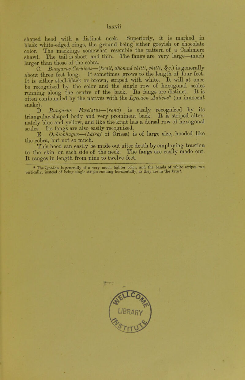 shaped head with a distinct neck. Superiorly, it # is marked in blaok white-edged rings, the ground being either greyish or chocolate color. The markings somewhat resemble the pattern of a Cashmere shawl. The tail is short and thin. The fangs are very large—much larger than those of the cobra. C. Bungarus Cerulean—(/emit, rihomnd chitti, chilli, fyc.) is generally about three feet long. It sometimes grows to the length of four feet. It is either steel-black or brown, striped with white. It will at once bo recognized by the color and the single row of hexagonal scales running along the centre of the back. Its fangs are distinct. It is often confoiinded by the natives with the Lycodon Aulicus* (an innocent snake). D. Bungarus Fasciatits—(r6na) is easily recognized by its triangular-shaped body and very prominent back. It is striped alter- nately blue and yellow, and like the krait has a dorsal row of hexagonal scales. Its fangs are also easily recognized. E. Ophiophagus—(hairaj of Orissa) is of large size, hooded like the cobra, but not so much. This hood can easily be made out after death by employing traction to the skin on each side of the neck. The fangs are easily made out. It ranges in length from nine to twelve feet. * The lycodon is generally of a very much lighter color, and the bands of white stripes run vertically, instead of being single stripes running horizontally, as they are in the krait.