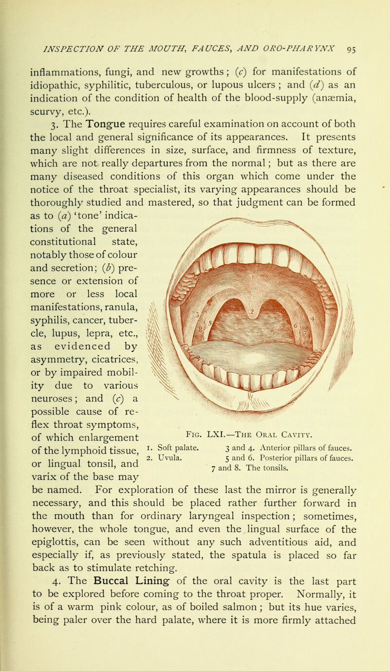 inflammations, fungi, and new growths ; (c) for manifestations of idiopathic, syphilitic, tuberculous, or lupous ulcers ; and {d) as an indication of the condition of health of the blood-supply (anaemia, scurvy, etc.). 3. The Tongue requires careful examination on account of both the local and general significance of its appearances. It presents many slight differences in size, surface, and firmness of texture, which are not really departures from the normal; but as there are many diseased conditions of this organ which come under the notice of the throat specialist, its varying appearances should be thoroughly studied and mastered, so that judgment can be formed as to {a) 'tone' indica- tions of the general constitutional state, notably those of colour and secretion; {b) pre- sence or extension of more or less local manifestations, ranula, syphilis, cancer, tuber- cle, lupus, lepra, etc., as evidenced by asymmetry, cicatrices, or by impaired mobil- ity due to various neuroses; and {c) a possible cause of re- flex throat symptoms, of which enlargement of the lymphoid tissue, or lingual tonsil, and varix of the base may be named. For exploration of these last the mirror is generally necessary, and this should be placed rather further forward in the mouth than for ordinary laryngeal inspection; sometimes, however, the whole tongue, and even the lingual surface of the epiglottis, can be seen without any such adventitious aid, and especially if, as previously stated, the spatula is placed so far back as to stimulate retching. 4. The Buccal Lining of the oral cavity is the last part to be explored before coming to the throat proper. Normally, it is of a warm pink colour, as of boiled salmon ; but its hue varies, being paler over the hard palate, where it is more firmly attached Fig. LXL—The Oral Cavity. I. Soft palate. Uvula. 3 and 4. Anterior pillars of fauces. 5 and 6. Posterior pillars of fauces. 7 and 8. The tonsils.