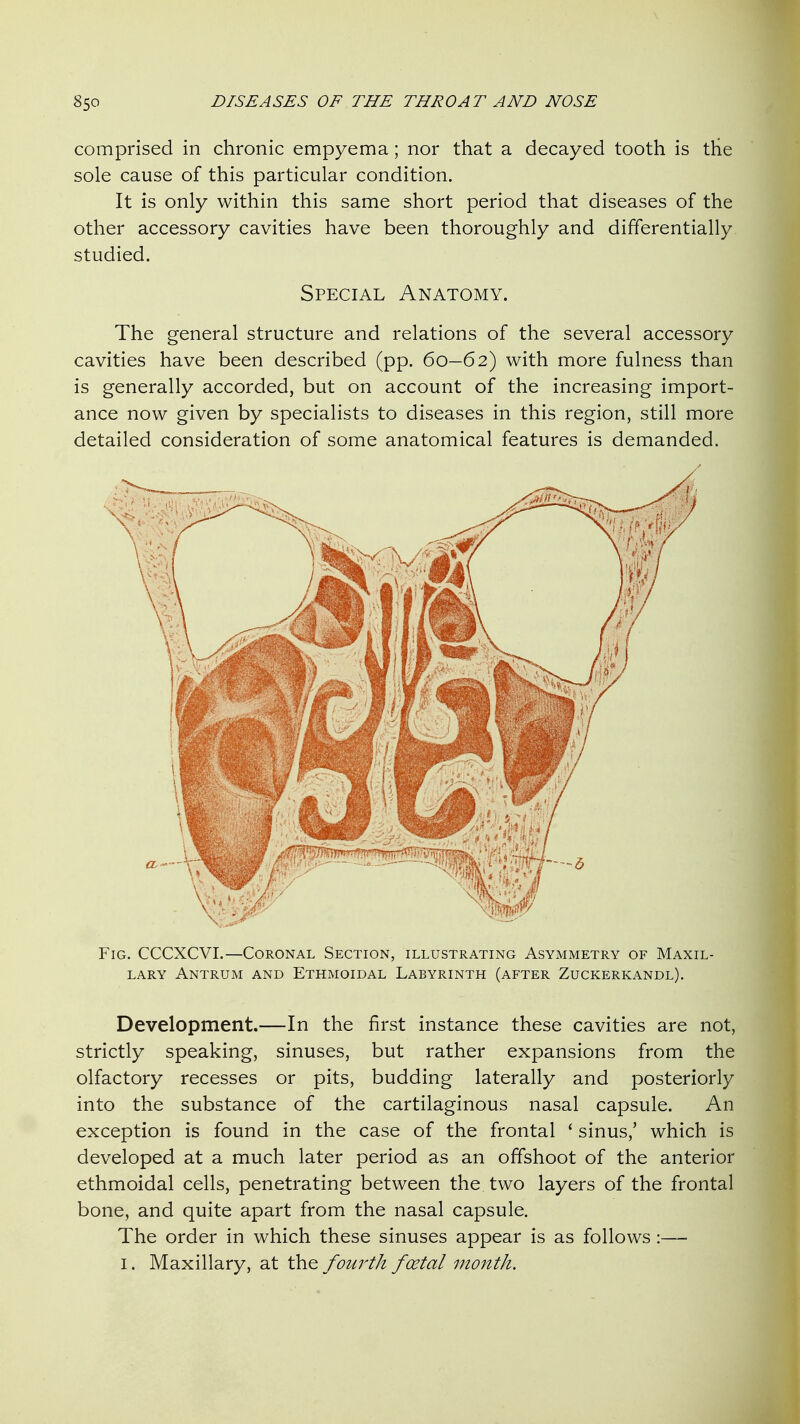 comprised in chronic empyema; nor that a decayed tooth is the sole cause of this particular condition. It is only within this same short period that diseases of the other accessory cavities have been thoroughly and differentially studied. Special Anatomy. The general structure and relations of the several accessory cavities have been described (pp. 60—62) with more fulness than is generally accorded, but on account of the increasing import- ance now given by specialists to diseases in this region, still more detailed consideration of some anatomical features is demanded. Fig. CCCXCVI.—Coronal Section, illustrating Asymmetry of Maxil- lary Antrum and Ethmoidal Labyrinth (after Zuckerkandl). Development.—In the first instance these cavities are not, strictly speaking, sinuses, but rather expansions from the olfactory recesses or pits, budding laterally and posteriorly into the substance of the cartilaginous nasal capsule. An exception is found in the case of the frontal * sinus,' which is developed at a much later period as an offshoot of the anterior ethmoidal cells, penetrating between the two layers of the frontal bone, and quite apart from the nasal capsule. The order in which these sinuses appear is as follows:— I. Maxillary, at the fourth fcetal month.