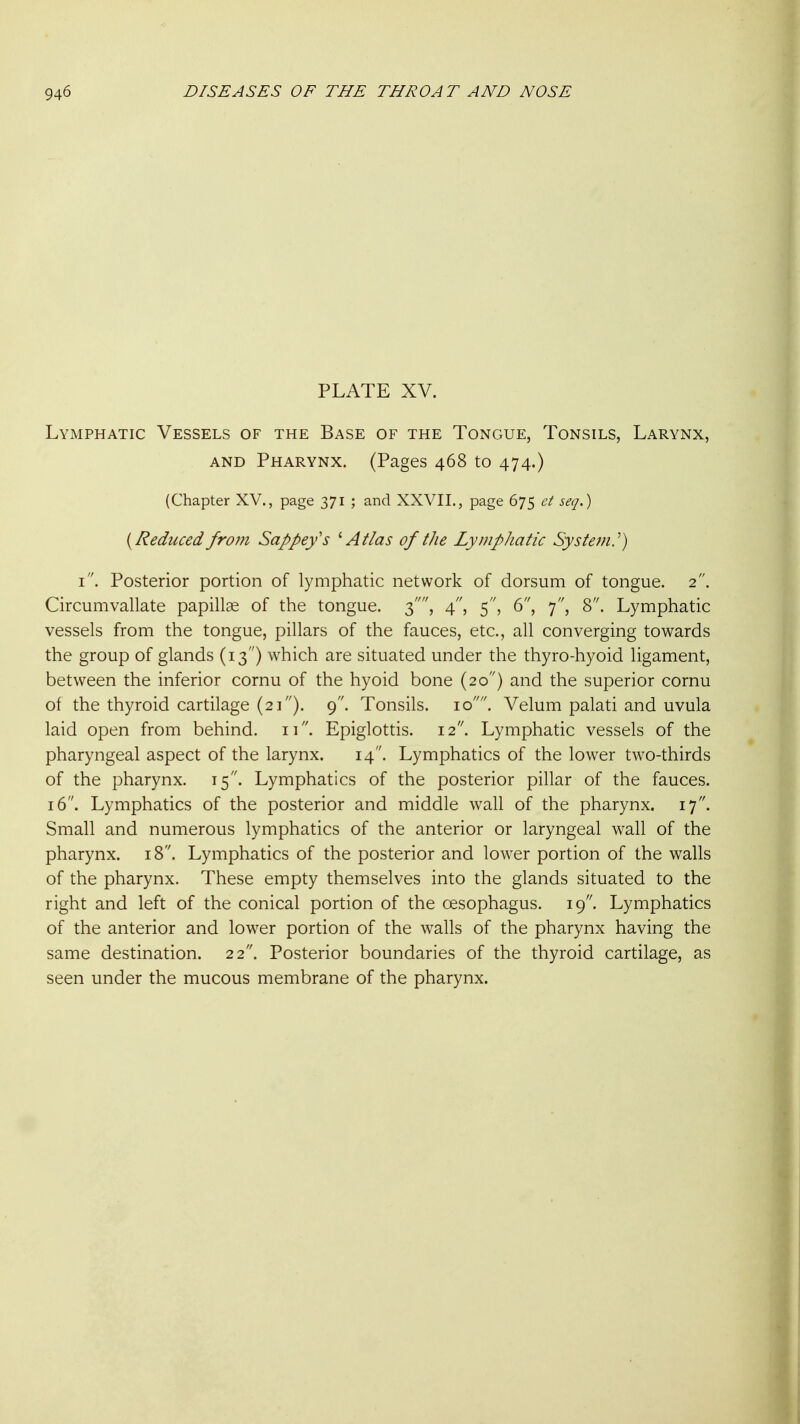 PLATE XV. Lymphatic Vessels of the Base of the Tongue, Tonsils, Larynx, AND Pharynx. (Pages 468 to 474.) (Chapter XV., page 371 ; and XXVII., page 675 ct seq.) {Reduced fro?n Sappey's ^ Atlas of the Lymphatic System.^) 1. Posterior portion of lymphatic network of dorsum of tongue. 2. Circumvallate papillae of the tongue. 3, 4, 5, 6, 7, 8. Lymphatic vessels from the tongue, pillars of the fauces, etc., all converging towards the group of glands (13 ) which are situated under the thyro-hyoid ligament, between the inferior cornu of the hyoid bone (20) and the superior cornu of the thyroid cartilage (21). 9. Tonsils. 10. Velum palati and uvula laid open from behind. 11. Epiglottis. 12. Lymphatic vessels of the pharyngeal aspect of the larynx. 14. Lymphatics of the lower two-thirds of the pharynx. 15. Lymphatics of the posterior pillar of the fauces. 16. Lymphatics of the posterior and middle wall of the pharynx. 17. Small and numerous lymphatics of the anterior or laryngeal wall of the pharynx. 18. Lymphatics of the posterior and lower portion of the walls of the pharynx. These empty themselves into the glands situated to the right and left of the conical portion of the oesophagus. 19. Lymphatics of the anterior and lower portion of the walls of the pharynx having the same destination. 22. Posterior boundaries of the thyroid cartilage, as seen under the mucous membrane of the pharynx.