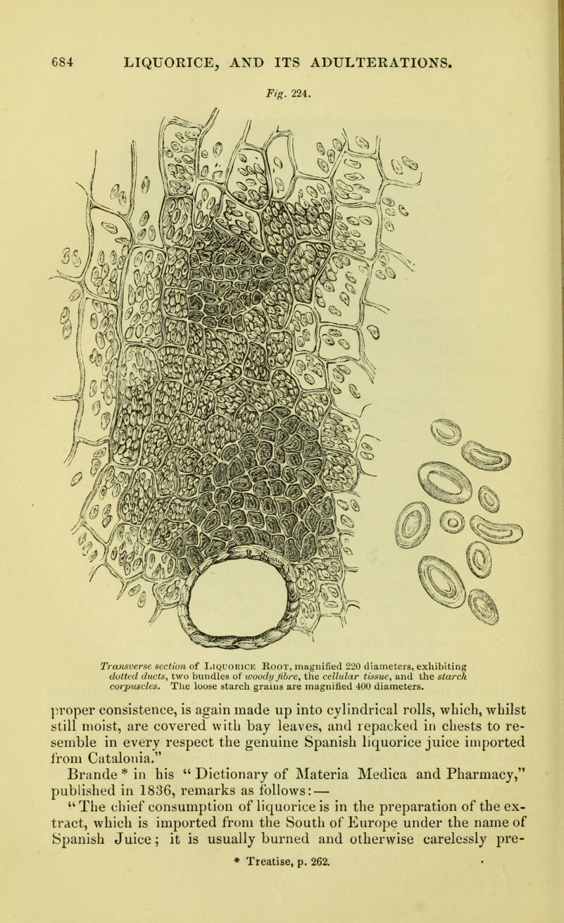 Fig. 224. Transverse section of Liquorice Root, magnified 220 diameters, exhibiting dotted ducts, two bundles of woody fibre, the cellular tissue, and the starch corpuscles. Tiie loose starch grains are magnified 400 diameters. proper consistence, is again made up into cylindrical rolls, which, whilst still moist, are covered with bay leaves, and repacked in chests to re- semble in every respect the genuine Spanish liquorice juice imported from Catalonia. Brande * in his Dictionary of Materia Medica and Pharmacy, published in 1836, remarks as follows: — The chief consumption of liquorice is in the preparation of the ex- tract, which is imported from the South of Europe under the name of Spanish Juice; it is usually burned and otherwise carelessly pre-