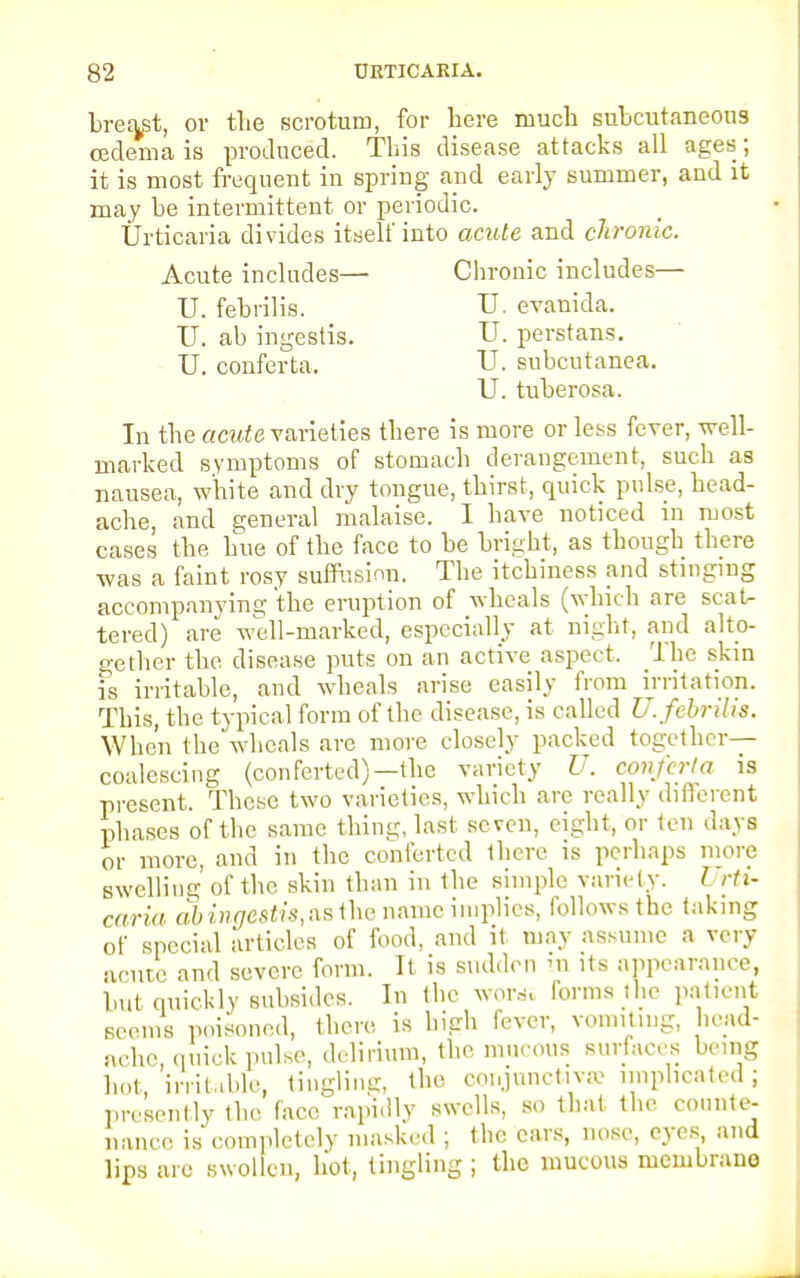 breast, or tlie scrotum, for here much subcutaneous cedema is produced. Tbis disease attacks all ages; it is most frequent in spring and early summer, and it may be intermittent or periodic. Urticaria divides itself into acute and chronic. Acute includes— Chronic includes— U. febrilis. U. evanida. U. ab ingestis. U. perstans. U. conferta, U. subcutanea. U. tuberosa. In the acute varieties tliere is more or less fever, well- marked symptoms of stomach derangement, such as nausea, white and dry tongue, thirst, quick pulse, bead- ache, and general malaise. I have noticed in most cases the hue of the face to be bright, as though there was a faint rosy suffusion. The itchiness and stinging accompanying the eruption of wheals (which are scat- tered) are well-marked, especially at night, and alto- gether the disease puts on an active aspect. The skin is irritable, and wheals arise easily from irritation. Tbis, the typical form of the disease, is called U. febrilis. When the wheals are more closely packed together- coalescing (conferted)—the variety U. conferta is present, These two varieties, which are really different phases of the same thing, last seven, eight, or ten days or more, and in the conferted tliere is perhaps more swelling of the skin than in the simple variety. I rti~ caria ab ingestis, as the name implies, followsthe taking of special articles of food, and it may assume a very acute and severe form. It is sudden in its appearance, but quickly subsides. In the worst forms the patient seems poisoned, there is high fever, vomiting, head- ache, quick pulse, delirium, the mucous surfaces being hot irritable, tingling, the conjunctiva: implicated; presently the face rapidly swells, so that the counte- nance is completely masked ; the cars, nose, eyes and lips arc swollen, hot, tingling ; the mucous membrane