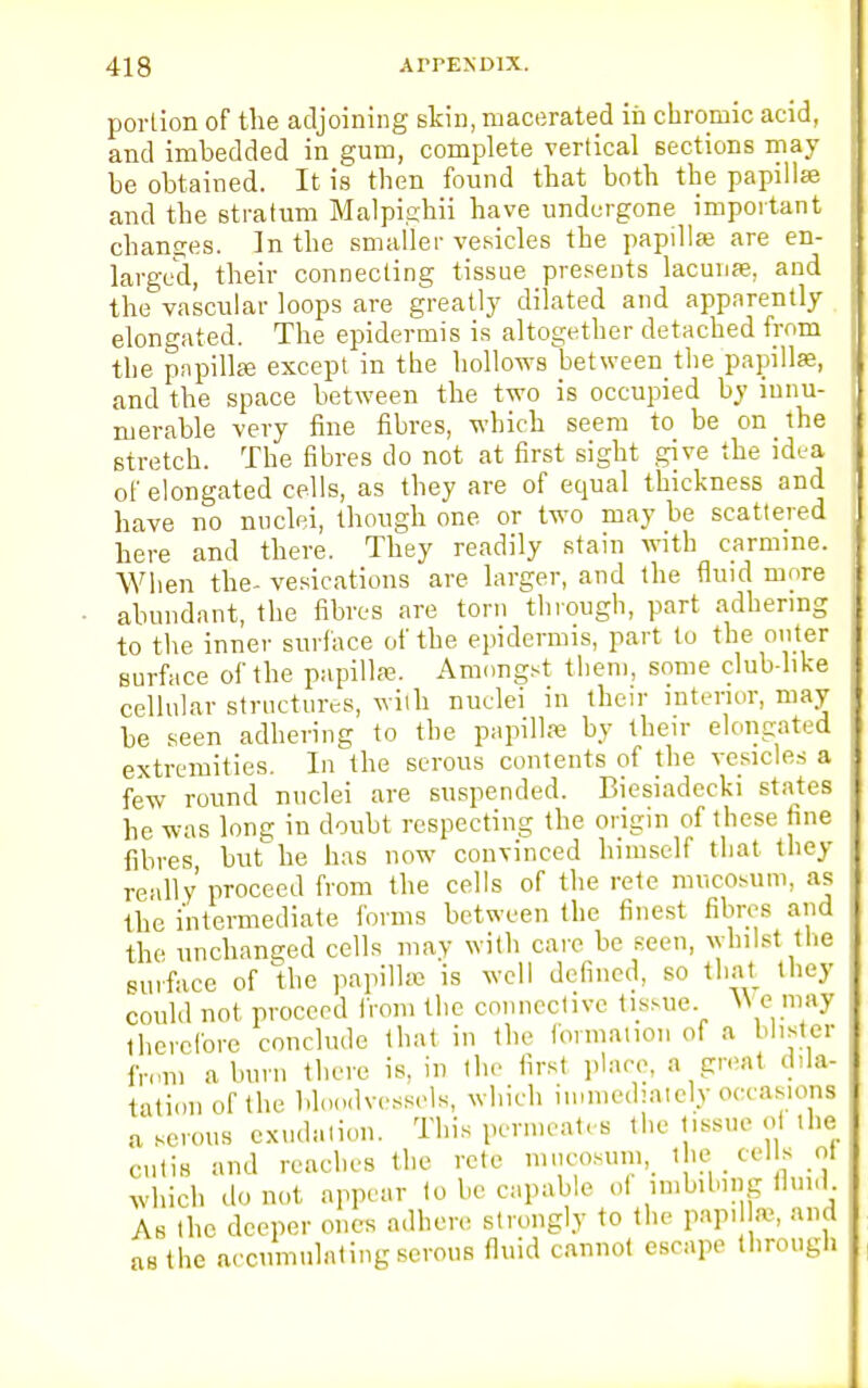 portion of the adjoining skin, macerated in chromic acid, and imbedded in gum, complete vertical sections may be obtained. It is then found that both the papillae and the stratum Malpighii have undergone important chances. In the smaller vesicles the papillae are en- larged, their connecting tissue presents lacunae, and the vascular loops are greatly dilated and apparently elongated. The epidermis is altogether detached from the pnpilke except in the hollows between the papillae, and the space between the two is occupied by innu- merable very fine fibres, which seem to be on the stretch. The fibres do not at first sight give the idea of elongated cells, as they are of equal thickness and have no nuclei, though one or two may be scattered here and there. They readily stain with carmine. When the- vesications are larger, and the fluid more abundant, the fibres are torn through, part adhering to the inner surface of the epidermis, part to the outer surface of the papillae. Amongst them, some club-like cellular structures, with nuclei in their interior, may be seen adhering to the papillae by their elongated extremities. In the serous contents of the vesicles a few round nuclei are suspended. Biesiadecki states he was long in doubt respecting the origin of these fine fibres but he has now convinced himself that they really proceed from the cells or the rete mucosum, as the intermediate forms between the finest fibres and the unchanged cells may with care be seen, whilst the surface of the papilla is well defined, so that they could not proceed from the connective tissue. We may therefore conclude that in the formation of a blister from a burn there is, in the first place, a great dila- tation of the bloodvessels, which immediately occasions a serous exudation. This permeates the t.ssuc ol the cutis and reaches the rete mucosum, the cells of which do not appear to be capable of imbibing fluid As the deeper ones adhere strongly to the papi las, and as the accumulating serous fluid cannot escape through