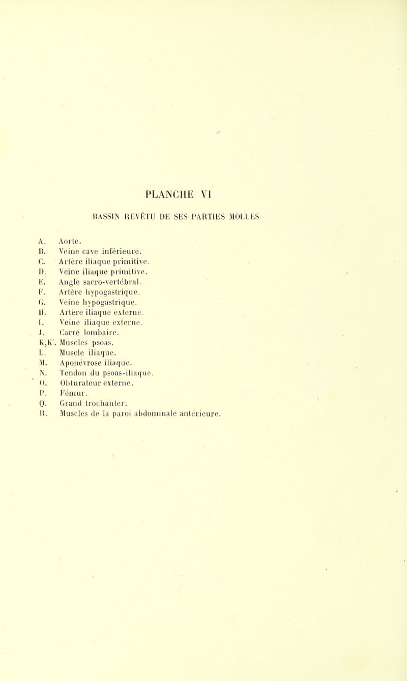 BASSIN REVÊTU DE SES PARTIES MOLLES A. Aorte. B. Veine cave inférieure. C. Artère iliaque primitive. D. Veine iliaque primitive. E. Angle sacro-vertcbral. F. Artère liypogastrique. G. Veine liypogastriquc. H. Artère iliaque externe. I. Veine iliaque externe. .1. Carré lombaire. K,K'. Muscles psoas. L. Muscle iliaque. M. Aponévrose iliaque. N. Tendon du psoas-iliaque. 0. Obturateur externe. P. Fémur. 0. Grand trocliantcr. R. Muscles de la paroi abdominale antérieure.