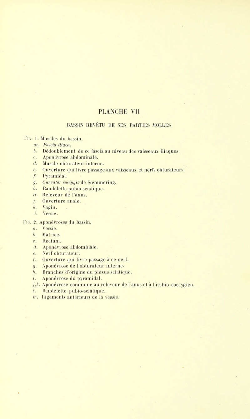 BASSIN REVÊTU DE SES PARTIES MOLLES FiG. i. Muscles du bassin. ac. Fascia iliaca. II. Dédoublement de ce fascia au niveau des vaisseaux iliaques. r. Aponévrose abdominale. d. Muscle obtuialeur interne. e. Ouverture qui livre passage aux vaisseaux et nerfs obturateurs. f. Pyramidal. g. Curvator mxygis de Sœmmering. Bandelette pubio-sciatiquc. n. Releveur de l'anus. j. Ouverture anale. />. Vagin. /. Vessie. TiG. 2. Aponévroses du bassin. a. Vessie. b. Matrice. c. Rectum. d. Aponévrose abdominale, c. Nerf obturateur. f. Ouverture qui livre passage à ce nerf. g. Aponévrose de l'obturateur interne. II. Branches d'origine du plexus sciatique. i. Aponévrose du pyramidal. /,/.■. Aponévrose commune au releveur de l anus et à l'ischio-coccygien. /. I^andelette pubio-sciatique. m. Ligaments antérieurs de la vessie.