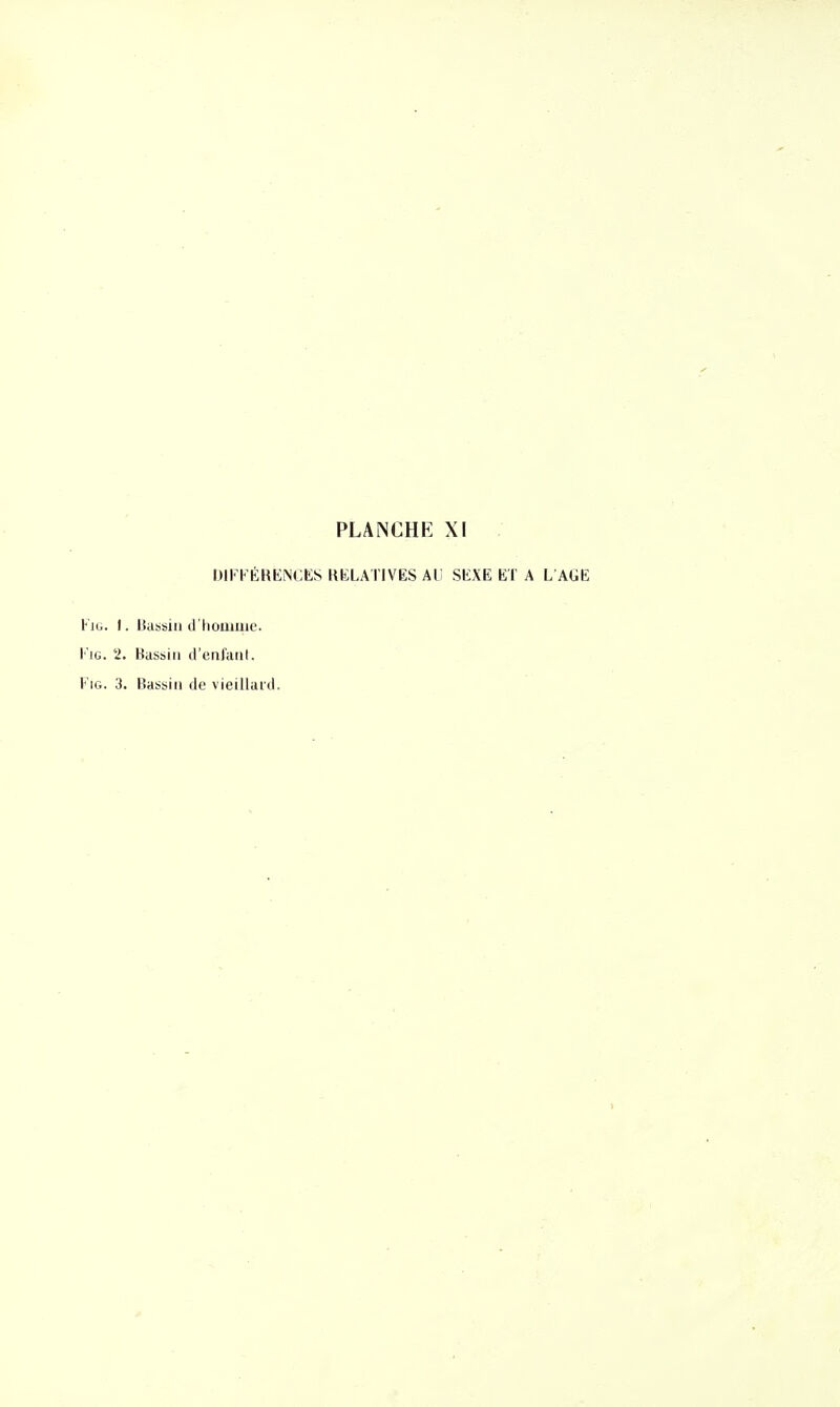 DIKrÉHKNCES KKLAÏIVËS AV SKXE ET A L AGE Fit,. I. ISussiii tl'homme. l'iG. 2. BdShiii d'enfant. FiG. 3. Bassin de vieillard.