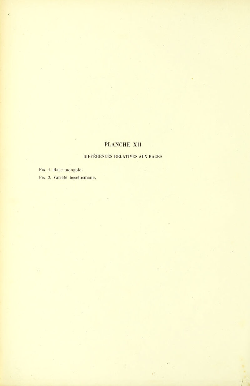 DIFFÉRENCES REr.ATIV^:S AUX RACES FiG. \. Race mongole. FiG. 2. Variété boschismane.