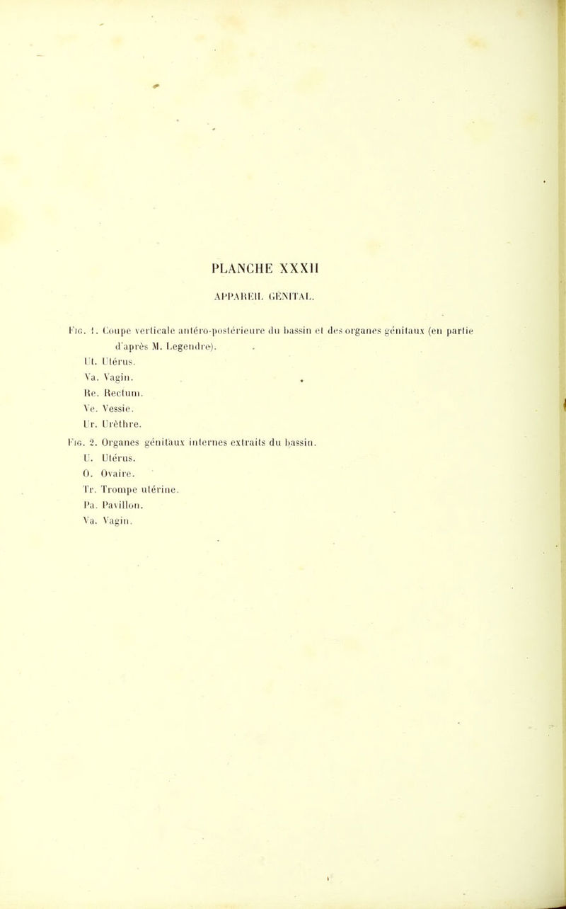 APl>AHi:iI. GK.M'rAL. Fie. !. Coupe verticale aiitéro-iioslérieure tlu bassin et des organes génilan.x (en partie d'après M. Legendre). L t. Utérus. Va. Vagin. . . Re. Rectum. Ve. Vessie. Ur. Urùthre. FiG. 2. Organes génitau.\ internes extraits du bassin. U. Utérus. 0. Ovaire. Tr. Trompe utérine. Pa. Pavillon. Va. Vagin.