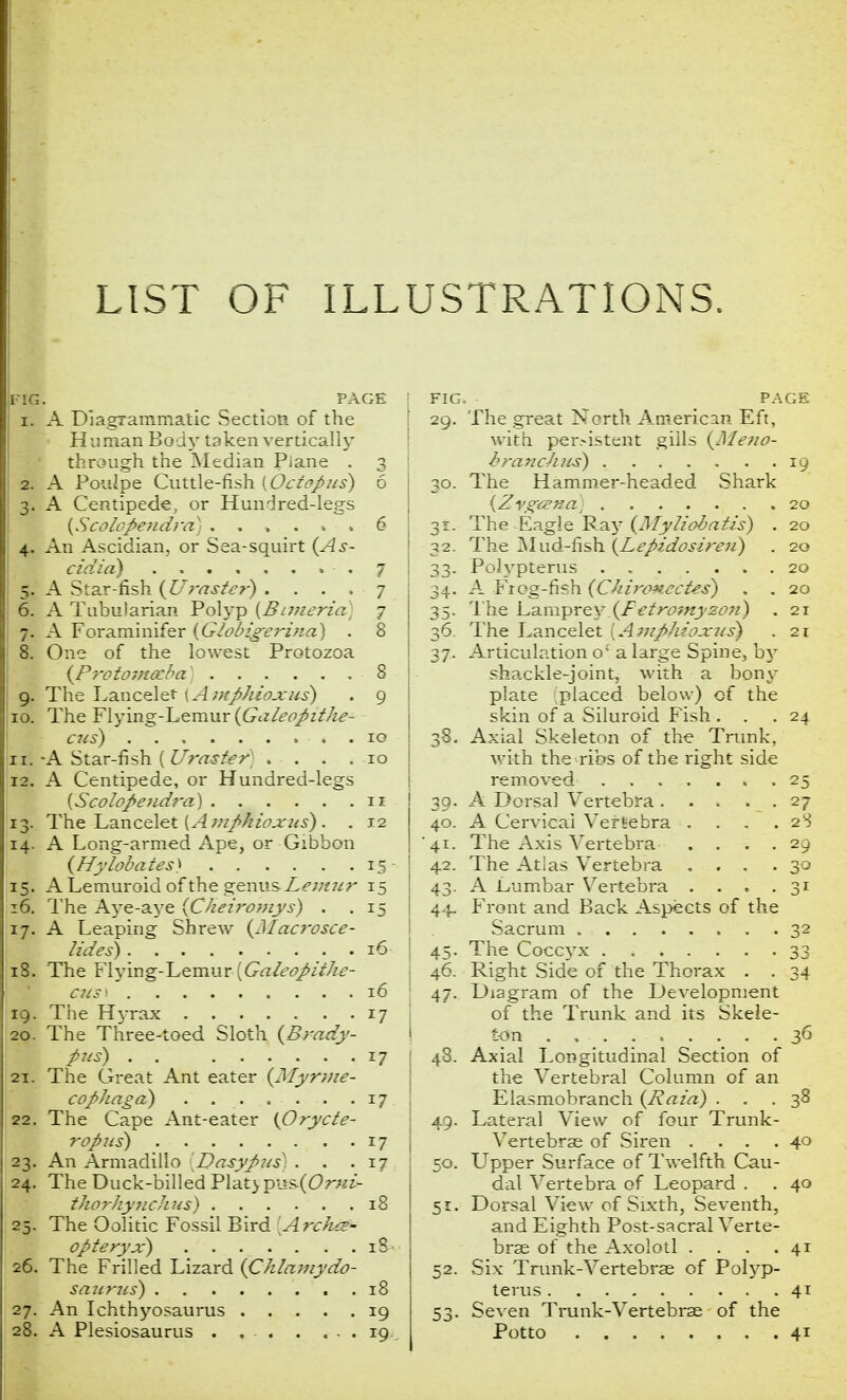 LIST OF ILLUSTRATIONS. FIG. PACE r- A Diagrammatic Section of the Human Body taken vertically through the Median Piane . 3 2. A Pouipe Cuttle-fish {Octopus) 6 3. A Centipede, or Hundred-legs (Scofopeudra) . . » . . 6 4. An Ascidian, or Sea-squirt (As- cidia) . .7 5. A Star-fish (Ufaster) . . . . 7 6. A Tubularian Polyp {Bnneria) 7 7. A Foraminifer {Globigerina) . 8 8. One of the lowest Protozoa (JProtoinoeba) 8 9. The Lancelet {AmpJUoxus) . 9 10. The Flying-Lemur (Galeopithe- - cus) . 10 11. -A Star-fish ( Uraster) . . . .10 12. A Centipede, or Hundred-legs {ScoloJ>eud?'a) 11 13. The Lancelet [Ampnioxus). . 12 14. A Long-armed Ape, or Gibbon (Hylobates^ 15 15. ALemuroid of the gemis-Lemur 15 16. The Aye-aye (Cheiromys) . .15 17. A Leaping Shrew (Macrosce- lides) 16 18. The Flying-Lemur [Galeopithe- R» cus) I^ 19. The Hyrax 17 20. The Three-toed Sloth (Brady- it Pus) r7 21. The Great Ant eater (Myrtne- cophaga) . . . . . . .17 22. The Cape Ant-eater (Orycte- rop2xs) 17 23. An Armadillo [Vasypus) . . .17 24. The Duck-billed Plat} p\s&(Omie tkarhynchus) 18 25. The Oolitic Fossil Bird [Arched opteryx) iS 26. The Frilled Lizard {Chlamydo- sazir?is) 18 27. An Ichthyosaurus 19 28. A Plesiosaurus . 19 FIG, PAGE ' 29. The great North American Eft, with per>istent gills (Meno- hranchus) 19 j 30. The Hammer-headed Shark (Zygeena) 20 j 31. The Eagle Pay (Myliobatis) . 20 j 32. The Mud-fish (Lepzdosireu) . 20 I 33. Polypterus . 20 j 34. A Frog-fish (Cuirowcctes) . . 20 35. The Lamprey.(jPetromyston) . 21 36. The Lancelet [Amphioxus) . 21 I 37. Articulation o' a large Spine, by shackle-joint, with a bom- plate (placed below) of the skin of a Siluroid Fish . . .24 38. Axial Skeleton of the Trunk, with the ribs of the right side removed 25 30. A Dorsal Vertebra. . , . . 27 40. A Cervical Vertebra . . . . 2S 41. The Axis Vertebra .... 29 42. The Atlas Vertebra . . . .30 43. A Lumbar Vertebra . . . .31 I 44. Front and Back Aspects of the I Sacrum 32 J 45. The Coccyx 33 46. Right Side of the Thorax . . 34 47. Diagram of the Development of the Trunk and its Skele- I ton . , . 36 j 48. Axial Longitudinal Section of the Vertebral Column of an Elasmobranch (Bam) ... 38 49. Lateral View of four Trunk- Vertebrae of Siren . . . .40 50. Upper Surface of Twelfth Cau- dal Vertebra of Leopard . . 40 51. Dorsal View of Sixth, Seventh, and Eighth Post-sacral Verte- brae of the Axolotl .... 41 52. Six Trunk-Vertebrae of Pol}rp- terus 41 53. Seven Trunk-Vertebrae of the Potto 41