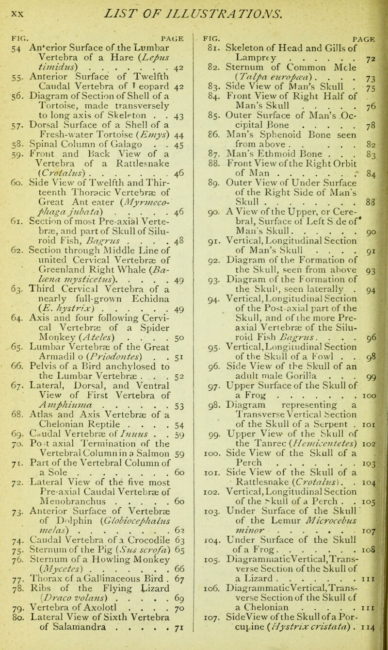 FIC;. PAGE 54 Anterior Surface of the Lumbar Vertebra of a Hare (LeJ>7is timidus) . 42 55. Anterior Surface of Twelfth Caudal Vertebra of T eopard 42 56. Diagram of Section of Shell of a Tortoise, made transversely to long axis of Skeleton . . 43 57. Dorsal Surface of a Shell of a Fresh-water Tortoise (Emys) 44 58. Spinal Column of Galago . . 45 59. Front and Back View of a Vertebra of a Rattlesnake (Crotalus) 46 60. Side View of Twelfth and Thir- teenth Thoracic Vertebrae of Great Ant eater {Myrmcco- fihaga jubata) 46 61. Section of most Pre-axial Verte- brae, and part of Skull of Silu- roid Fish, Bagr?is .... 48 62. Section through Middle Line of united Cervical Vertebrae of Greenland Right Whale (Ba- Iceua 7iiysticetus) 49 63. Third Cervical Vertebra of a nearly full-grown Echidna (E. hystrix) 49 64. Axis and four following Cervi- cal Vertebrae of a Spider Monkey {A teles) .... 65. Lumbar Vertebrae of the Great Armadil o (Priodontes) 66. Pelvis of a Bird anchylosed to the Lumbar Vertebrae . 67. Lateral, Dorsal, and Ventral View of First Vertebra of AmfihiiLma 53 68. Atlas and Axis Vertebrae of a Clielonian Reptile . . . .54 69. Caudal Vertebrae of I nuns . . 59 70. Po-t axial Termination of the Vertebral Column in a Salmon 59 71. Part of the Vertebral Column of a Sole 60 72. Lateral View of the five most Pre-axial Caudal Vertebrae of Menobranchus 60 73. Anterior Surface of Vertebrae of Dolphin {Globiocefthalus me las) 62 74. Caudal Vertebra of a Crocodile 63 75. Sternum of the Pig [Sus scrofd) 65 76. Sternum of a Howling Monkey {Mycetcs) . 66 77. Thorax of a Gallinaceous Bird . 67 78. Ribs of the Flying Lizard [Draco volans) 69 79. Vertebra of Axolotl .... 70 80. Lateral View of Sixth Vertebra of Salamandra 71 5o 5i 52 FIG. PAGE 81. Skeleton of Head and Gills of Lamprey 72 82. Sternum of Common Mcle {Talpa eurofiaui) . . . . 73 83. Side View of Man's Skull . 75 84. Fiont View of Right Half of Man's Skull 76 85. Outer Surface of Man's .Oc- cipital Bone 78 86. Man's Sphenoid Bone seen from above . ... 82 87. Man's Ethmoid Bone ... 83 88. Front View of the Right Orbit of Man 84 89. Outer View of Under Surface of the Right Side of Man's Skull 88 90. A View of the Upper, or Cere- bral, Surface of Left S de of* Man's Skull 90 91. Vertical, Longitudinal Section of Man's Skull .... 91 92. Diagram of the Formation of the Skull, seen from above 93 93. Diagram of the Formation of the Skui1, seen laterally . 94 94. Vertical,Longitudinal Section of the Post-axial part of the Skull, and of the more Pre- axial Vertebrae of the Silu- roid Fish Bagrjis .... 96 95. Vertical,Longitudinal Section of the Skull of a Fowl . . 98 96. Side View of the Skull of an adult male Gorilla ... 99 97. Upper Surface of the Skull of a Frog 100 98. Diagram representing a Transverse Vertical Section of the Skull of a Serpent . 101 99. Upper View of the Skull of the Tanrec {Hemicentetes} 102I 100. Side View of the Skull of a Perch 103 101. Side View of the Skull of a Rattlesnake {Crotahis). . 104 102. Vertical, Longitudinal Section of the .vkull of a Perch . . 105 103. Under Surface of the Skull' of the Lemur Microcebus minor 107 104. Under Surface of the Skull of a Frog 108 105. DiagrammaticVertical,Trans- verse Section of the Skull of a Lizard 111 106. DiagrammaticVertical,Trans- verse Section of the Skull of a Chelonian 111 107. SideView of the Skull of a Por- cupine {Hystrix cristata) . 114
