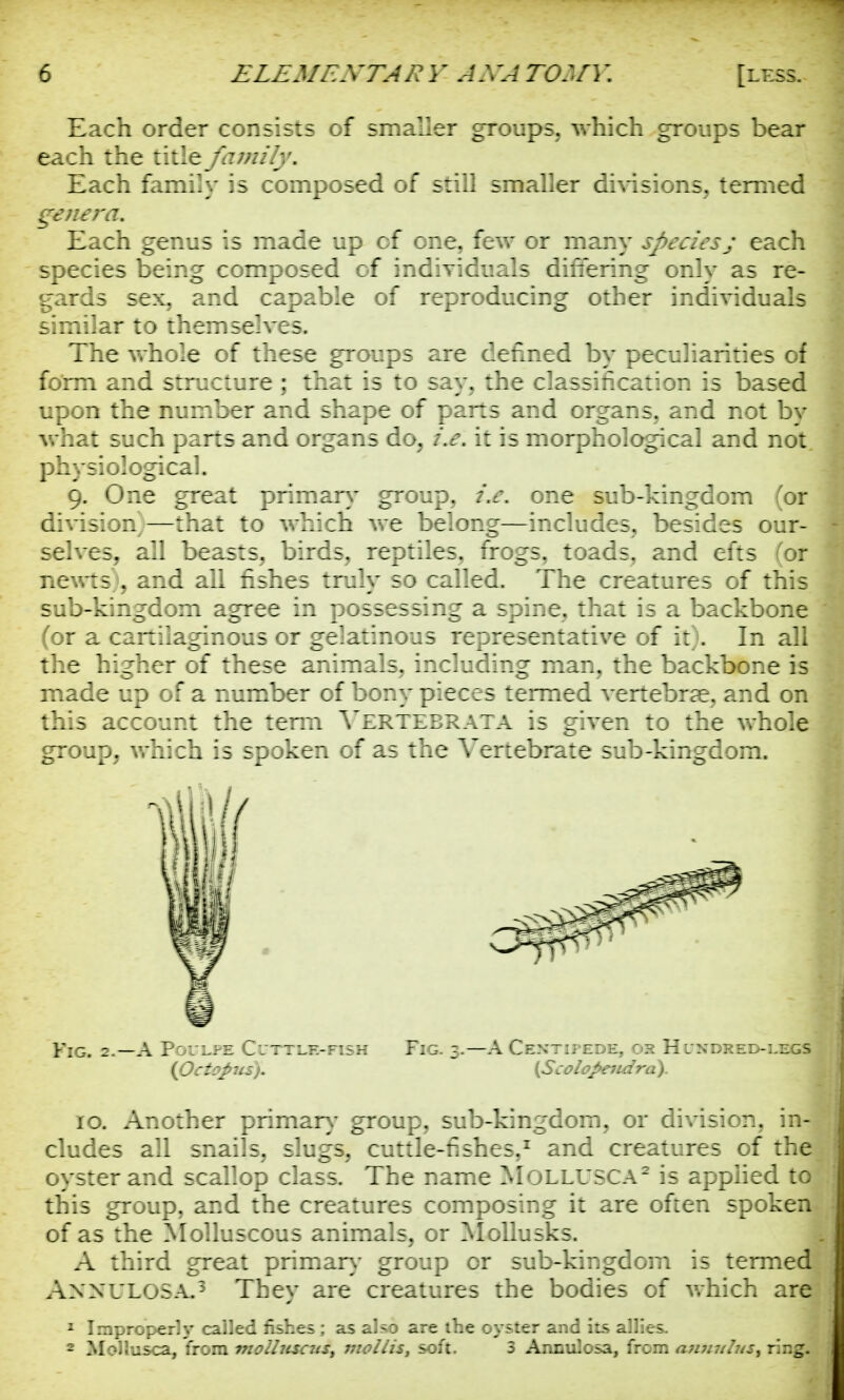 Each order consists of smaller groups, which groups bear each the title family* Each family is composed of still smaller divisions, termed genera. Each genus is made up of one, few or many species; each species being composed cf individuals differing only as re- gards sex, and capable of reproducing other individuals similar to themselves. The whole of these groups are defined by peculiarities of form and structure ; that is to say, the classification is based upon the number and shape of parts and organs, and not by what such parts and organs do, i.e. it is morphological and not physiological. 9. One great primary group, i.e. one sub-kingdom (or division}—that to which we belong—includes, besides our- selves, all beasts, birds, reptiles, frogs, toads, and efts (or newts), and all fishes truly so called. The creatures of this sub-kingdom agree in possessing a spine, that is a backbone (or a cartilaginous or gelatinous representative of it). In all the higher of these animals, including man, the backbone is made up of a number of bony pieces termed vertebras, and on this account the term Yertebrata is given to the whole group, which is spoken of as the Vertebrate sub-kingdom. Fig. 2.—A Poulpe Cuttle-fish Fig. 3.—A Centipede, oh Hundred-legs {Octopus). (Scolopendray. 10. Another primary group, sub-kingdom, or division, in- cludes all snails, slugs, cuttle-fishes,1 and creatures of the oyster and scallop class. The name Mollusca2 is applied to this group, and the creatures composing it are often spoken of as the Molluscous animals, or Mollusks. A third great primary group or sub-kingdom is termed ANNULOSAJ They are creatures the bodies of which are 1 Improperly called fishes ; as also are the oyster and iLs allies. 2 Mollusca, from moil?isc7is, mollis, soft. 3 Annulosa, from a7iu7dus^ ring.