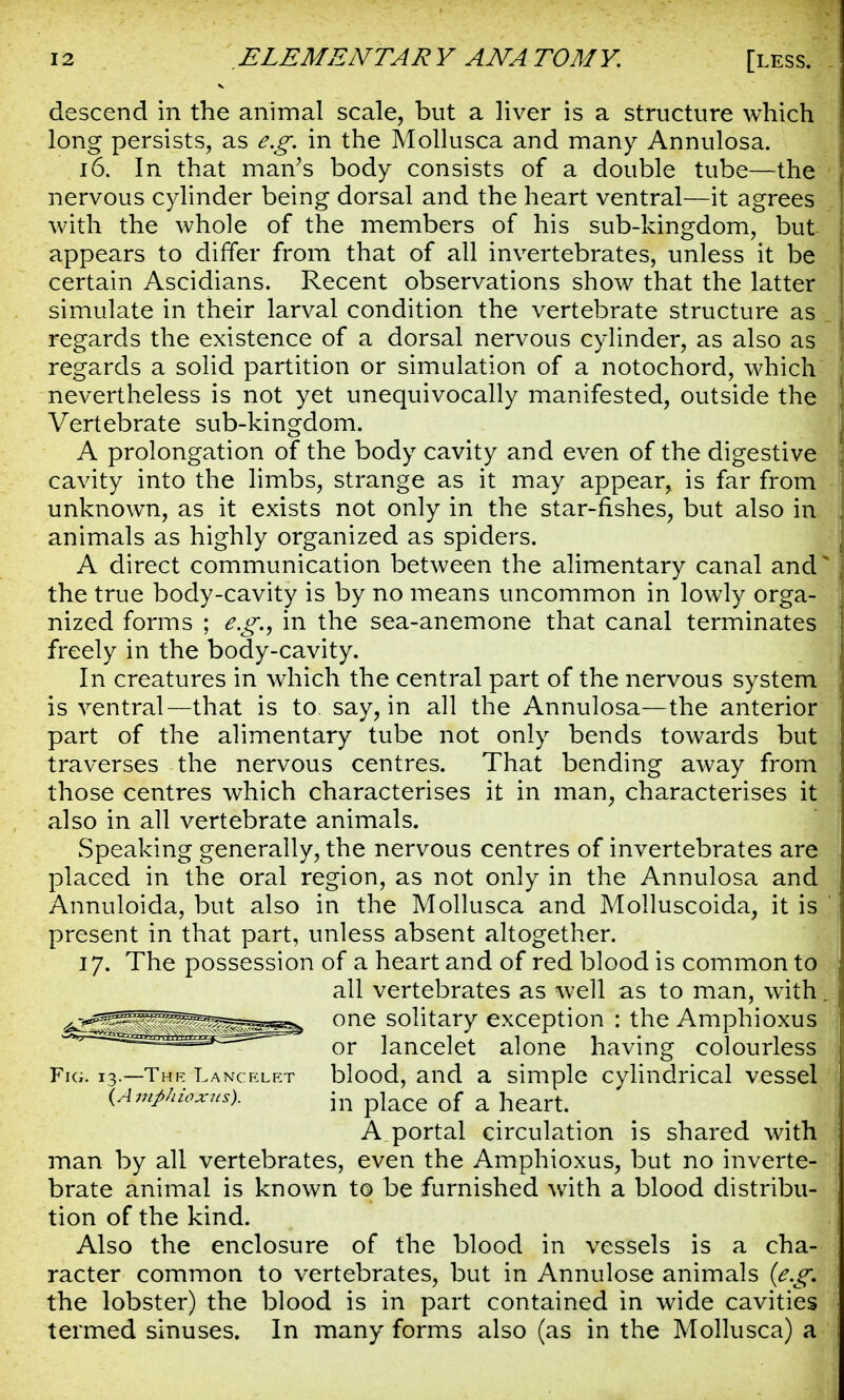 descend in the animal scale, but a liver is a structure which long persists, as e.g. in the Mollusca and many Annulosa. 16. In that man's body consists of a double tube—the nervous cylinder being dorsal and the heart ventral—it agrees with the whole of the members of his sub-kingdom, but appears to differ from that of all invertebrates, unless it be certain Ascidians. Recent observations show that the latter simulate in their larval condition the vertebrate structure as regards the existence of a dorsal nervous cylinder, as also as regards a solid partition or simulation of a notochord, which nevertheless is not yet unequivocally manifested, outside the Vertebrate sub-kingdom. A prolongation of the body cavity and even of the digestive cavity into the limbs, strange as it may appear, is far from unknown, as it exists not only in the star-fishes, but also in animals as highly organized as spiders. A direct communication between the alimentary canal and the true body-cavity is by no means uncommon in lowly orga- nized forms ; e.g., in the sea-anemone that canal terminates freely in the body-cavity. In creatures in which the central part of the nervous system is ventral—that is to say, in all the Annulosa—the anterior part of the alimentary tube not only bends towards but traverses the nervous centres. That bending away from those centres which characterises it in man, characterises it also in all vertebrate animals. Speaking generally, the nervous centres of invertebrates are placed in the oral region, as not only in the Annulosa and Annuloida, but also in the Mollusca and Molluscoida, it is present in that part, unless absent altogether. 17. The possession of a heart and of red blood is common to all vertebrates as well as to man, with one solitary exception : the Amphioxus or lancelet alone having colourless Fig. 13.—Thk Lancelet blood, and a simple cylindrical vessel {Amphioxus). in piaCe 0f a heart. A portal circulation is shared with man by all vertebrates, even the Amphioxus, but no inverte- brate animal is known to be furnished with a blood distribu- tion of the kind. Also the enclosure of the blood in vessels is a cha- racter common to vertebrates, but in Annulose animals (e.g. the lobster) the blood is in part contained in wide cavities termed sinuses. In many forms also (as in the Mollusca) a