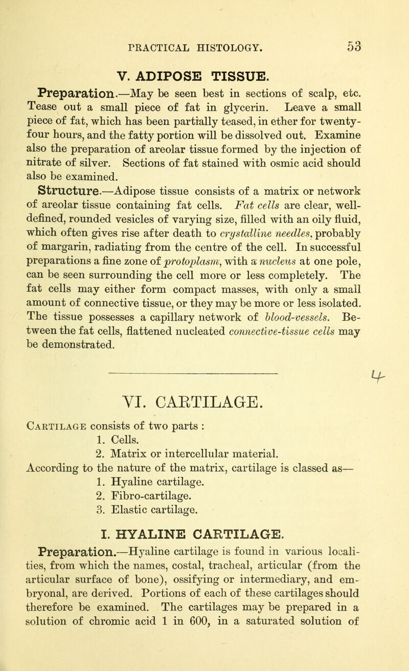 V. ADIPOSE TISSUE. Preparation.—May be seen best in sections of scalp, etc. Tease out a small piece of fat in glycerin. Leave a small piece of fat, which has been partially teased, in ether for twenty- four hours, and the fatty portion will be dissolved out. Examine also the preparation of areolar tissue formed by the injection of nitrate of silver. Sections of fat stained with osmic acid should also be examined. Structure.—Adipose tissue consists of a matrix or network of areolar tissue containing fat cells. Fat cells are clear, well- defined, rounded vesicles of varying size, filled with an oily fluid, which often gives rise after death to crystalline needles, probably of margarin, radiating from the centre of the cell. In successful preparations a fine zone oi protoplasm^ with a nucletts at one pole, can be seen surrounding the cell more or less completely. The fat cells may either form compact masses, with only a small amount of connective tissue, or they may be more or less isolated. The tissue possesses a capillary network of blood-vessels. Be- tween the fat cells, flattened nucleated connective-tissue cells may be demonstrated. VI. CAETILAGE. Cartilage consists of two parts : 1. Cells. 2. Matrix or intercellular material. According to the nature of the matrix, cartilage is classed as— 1. Hyaline cartilage. 2. Fibro-cartilage. 3. Elastic cartilage. I. HYALINE CARTILAGE. Preparation.—Hyaline cartilage is found in various locali- ties, from which the names, costal, tracheal, articular (from the articular surface of bone), ossifying or intermediary, and em- bryonal, are derived. Portions of each of these cartilages should therefore be examined. The cartilages may be prepared in a solution of chromic acid 1 in 600, in a saturated solution of