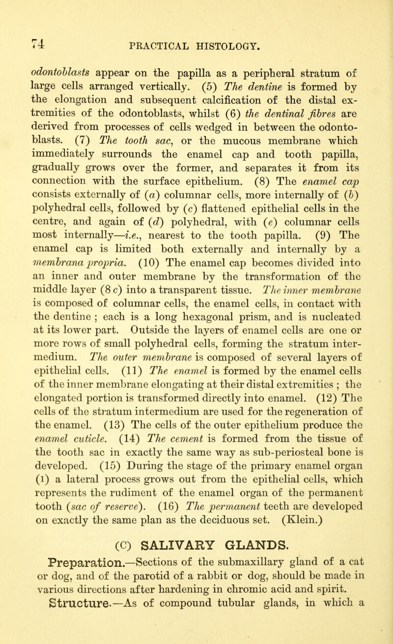 odontoblasts appear on the papilla as a peripheral stratum of large cells arranged vertically. (5) The dentine is formed by the elongation and subsequent calcification of the distal ex- tremities of the odontoblasts, whilst (6) the dentinal fibres are derived from processes of cells wedged in between the odonto- blasts. (7) The tooth sac, or the mucous membrane which immediately surrounds the enamel cap and tooth papilla, gradually grows over the former, and separates it from its connection with the surface epithelium. (8) The enamel cap consists externally of (a) columnar cells, more internally of (b) polyhedral cells, followed by (c) flattened epithelial cells in the centre, and again of (d) polyhedral, with (e) columnar cells most internally—i.e., nearest to the tooth papilla. (9) The enamel cap is limited both externally and internally by a membrana propria. (10) The enamel cap becomes divided into an inner and outer membrane by the transformation of the middle layer (8 c) into a transparent tissue. The inner membrane is composed of columnar cells, the enamel cells, in contact with the dentine ; each is a long hexagonal prism, and is nucleated at its lower part. Outside the layers of enamel cells are one or more rows of small polyhedral cells, forming the stratum inter- medium. The outer membrane is composed of several layers of epithelial cells. (11) The enamel is formed by the enamel cells of the inner membrane elongating at their distal extremities ; the elongated portion is transformed directly into enamel. (12) The cells of the sti-atum intermedium are used for the regeneration of the enamel. (13) The cells of the outer epithelium produce the enamel cuticle. (14) The cement is formed from the tissue of the tooth sac in exactly the same way as sub-periosteal bone is developed. (15) During the stage of the primary enamel organ (i) a lateral process grows out from the epithelial cells, which represents the rudiment of the enamel organ of the permanent tooth (sac of reserve). (16) The permanent teeth are developed on exactly the same plan as the deciduous set. (Klein.) (C) SALIVARY GLANDS. Preparation.—Sections of the submaxillary gland of a cat or dog, and of the parotid of a rabbit or dog, should be made in various directions after hardening in chromic acid and spirit. Structure.—As of compound tubular glands, in which a